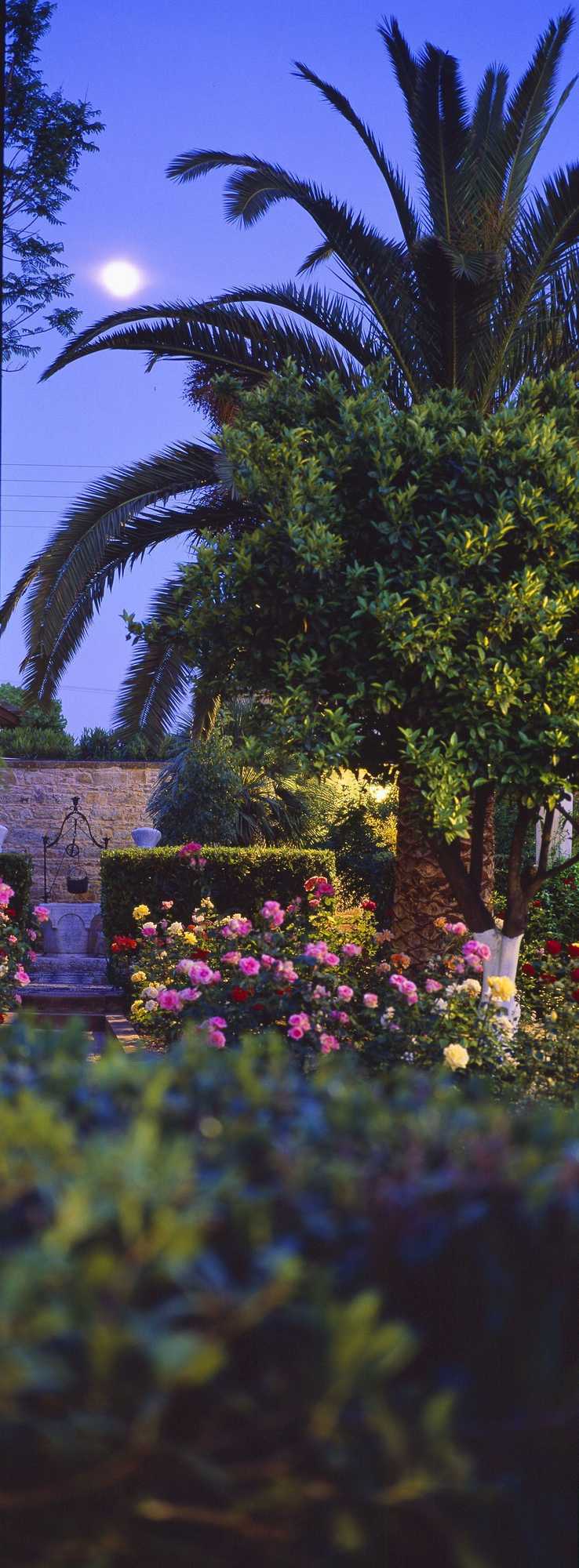 Gift card for Argentikon Luxury Suites Gift card for Argentikon Luxury Suites