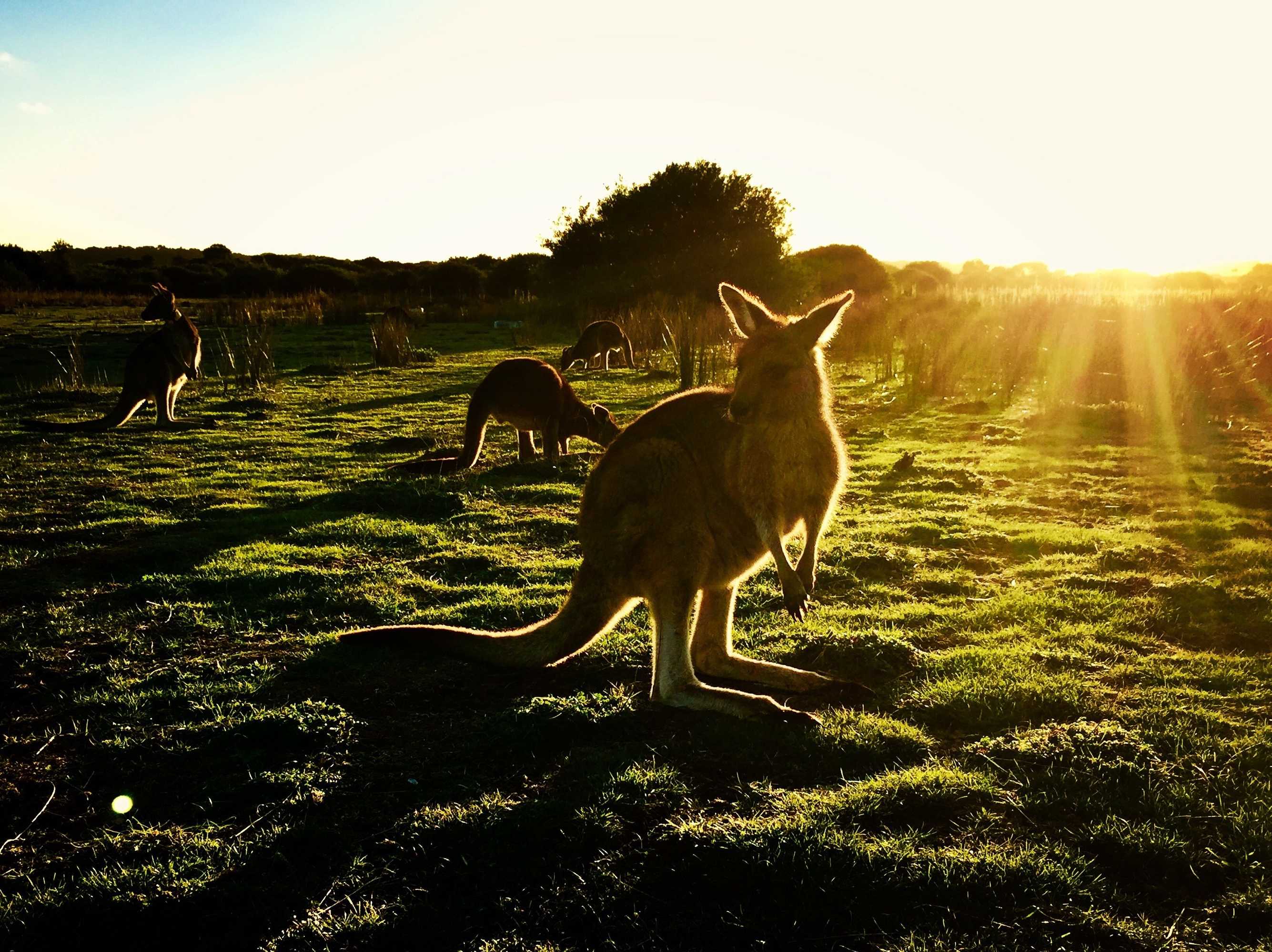 Gift card for Prom Coast Apartments