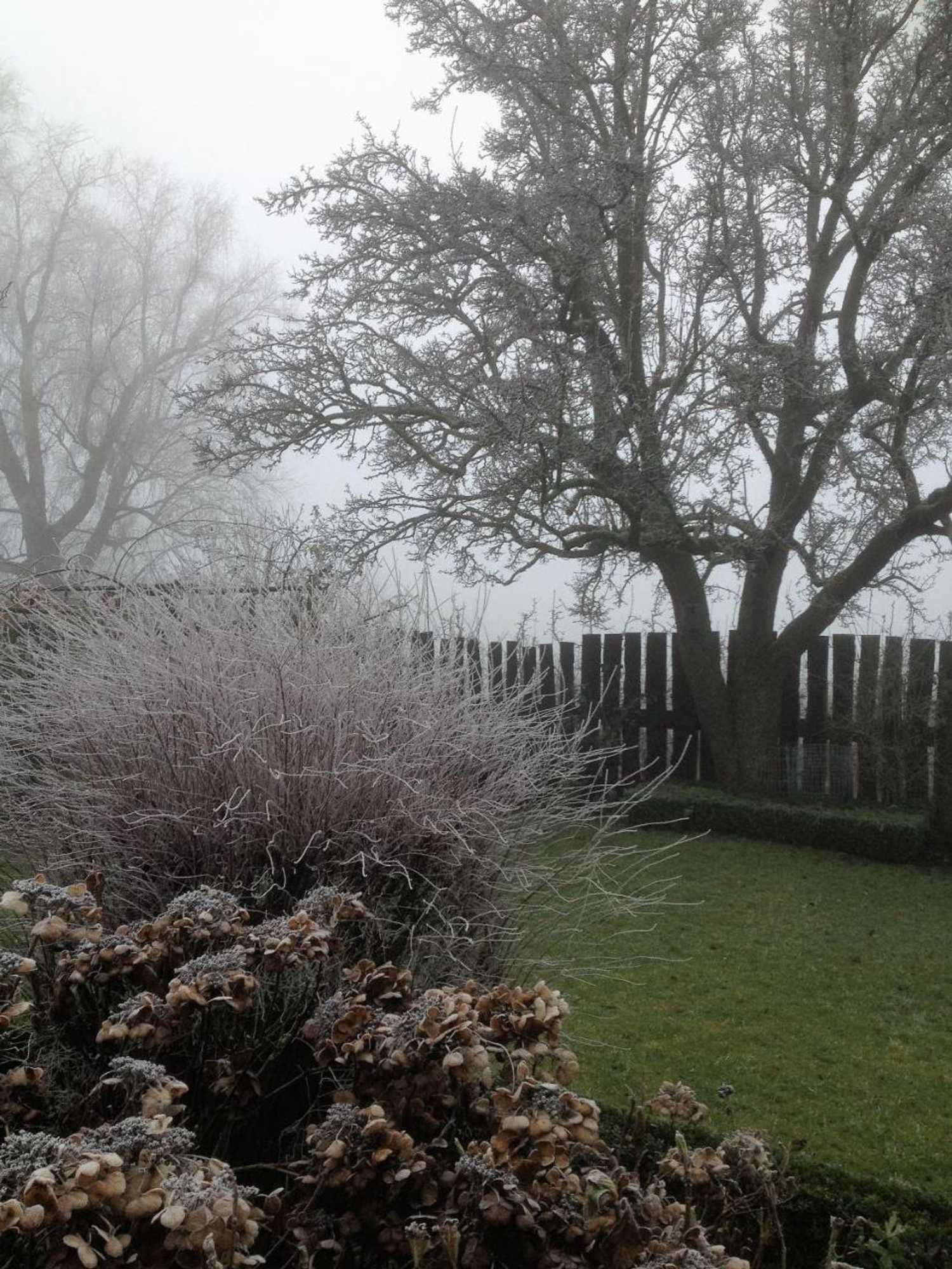 Gift card for B&b 't Pakhuis