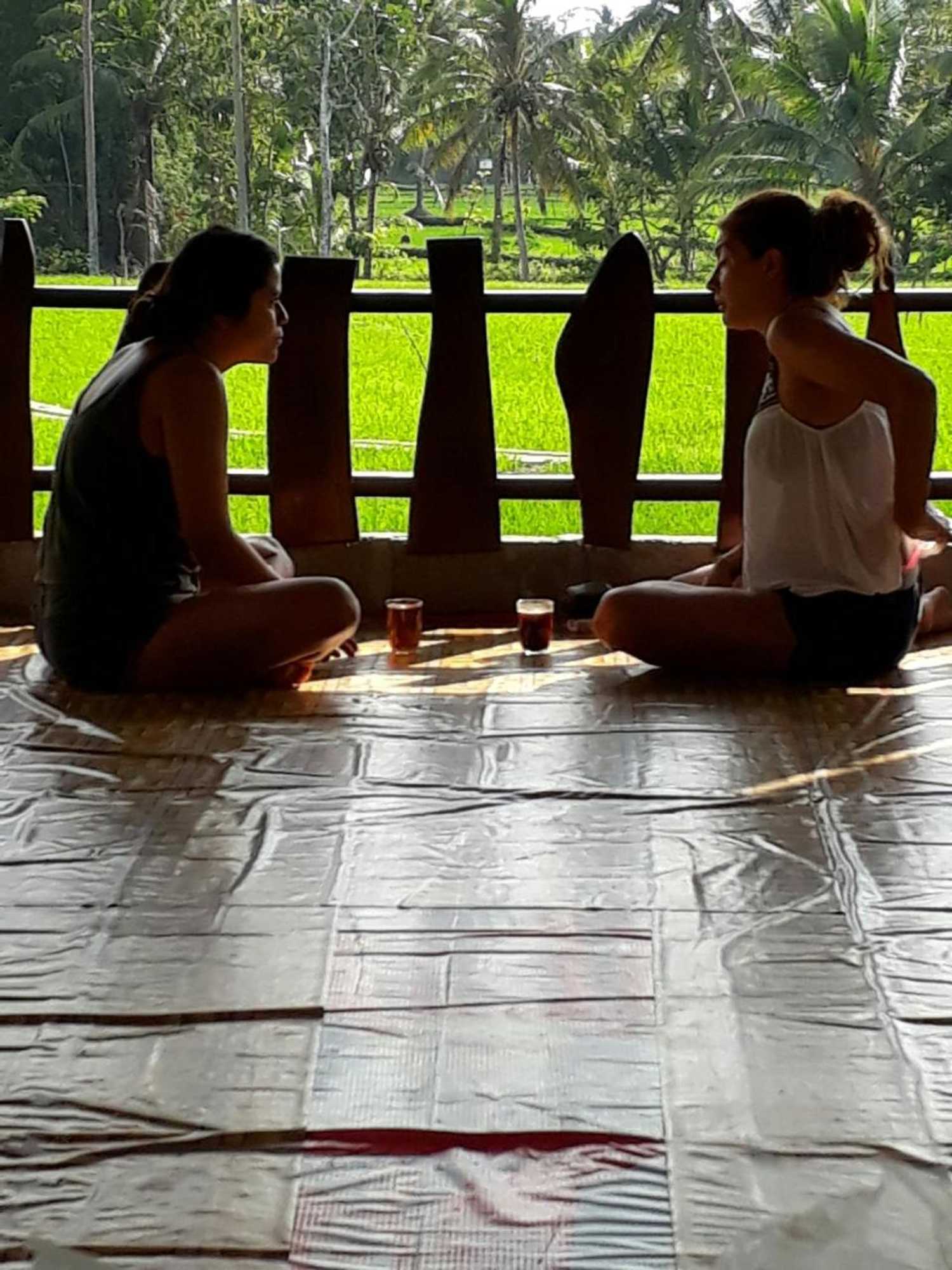 Gift card for The New Orlinds Guest House