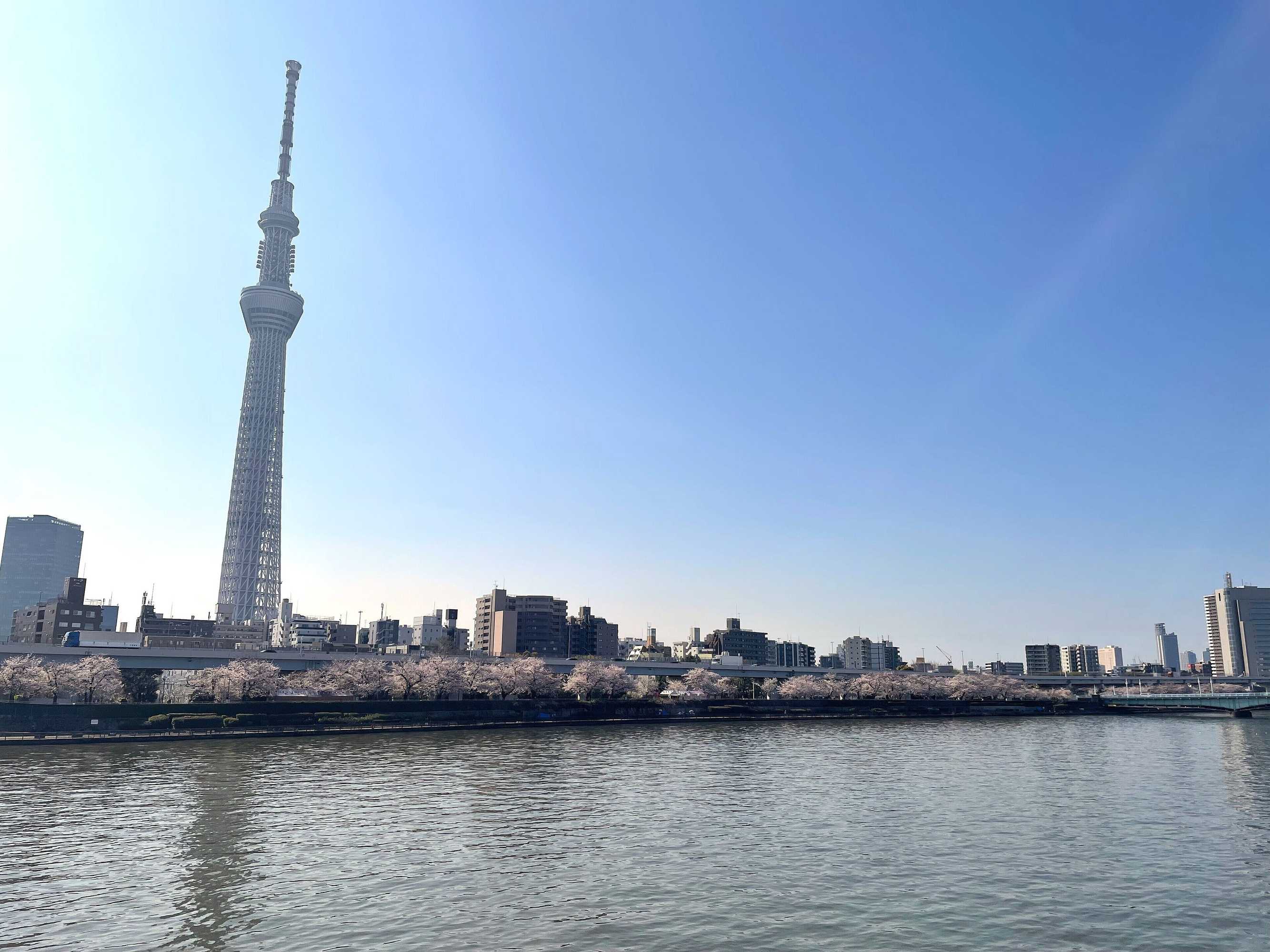 Gift card for Hotel Amanek Asakusa Sakurabashi Gift card for Hotel Amanek Asakusa Sakurabashi