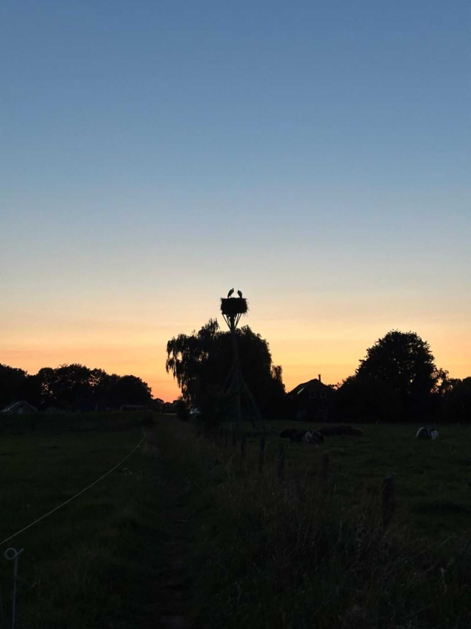 Gift card for Zalk Blijven Slapen