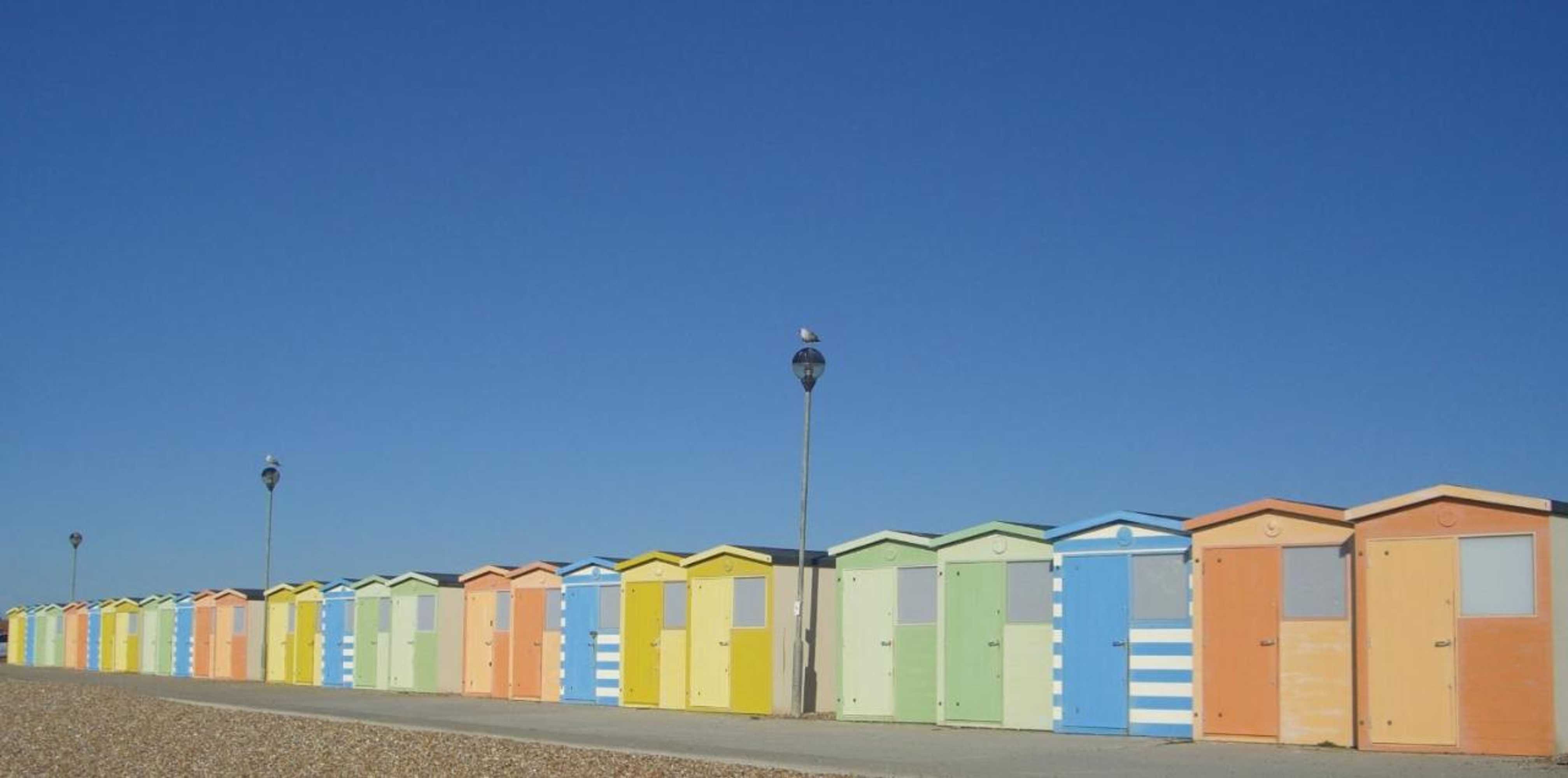 Gift card for Lamb's Knees