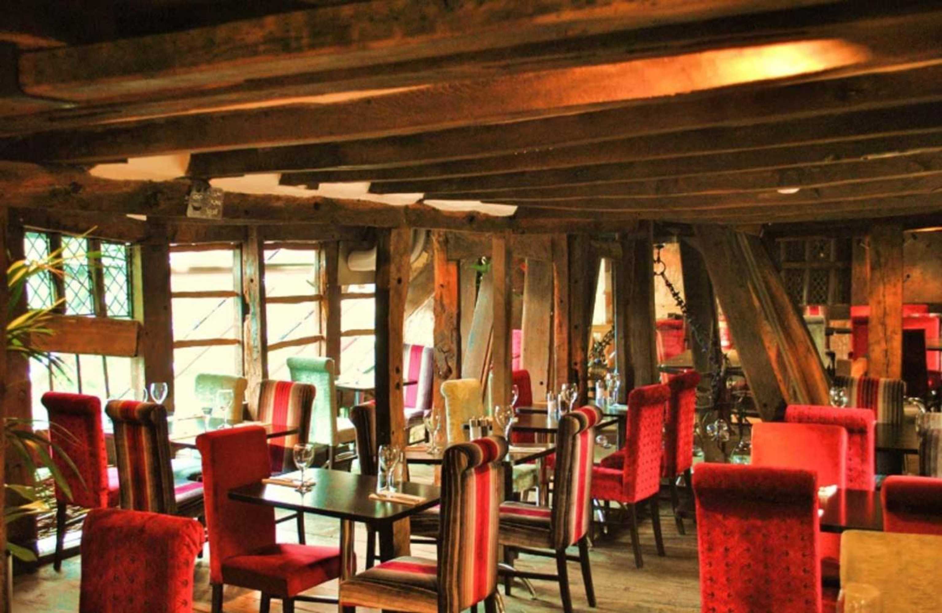 Gift card for Cheshire Cat