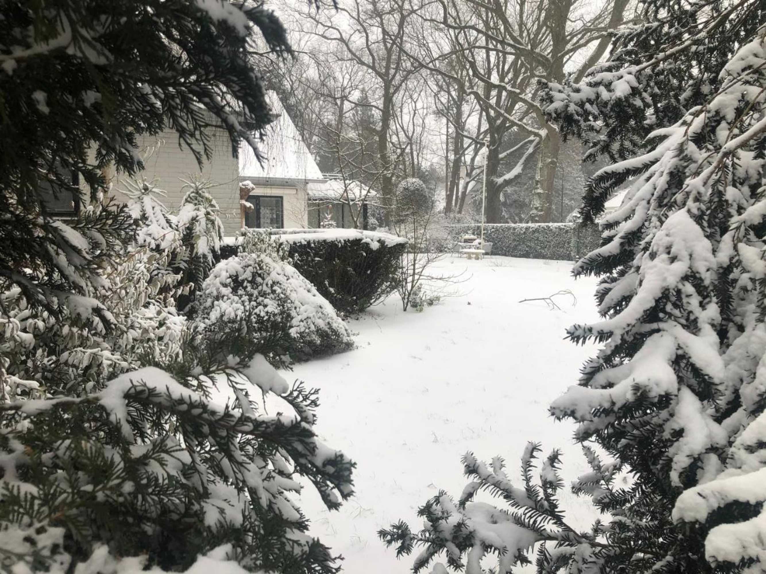 Gift card for Modern Palace B&b Emma Staete