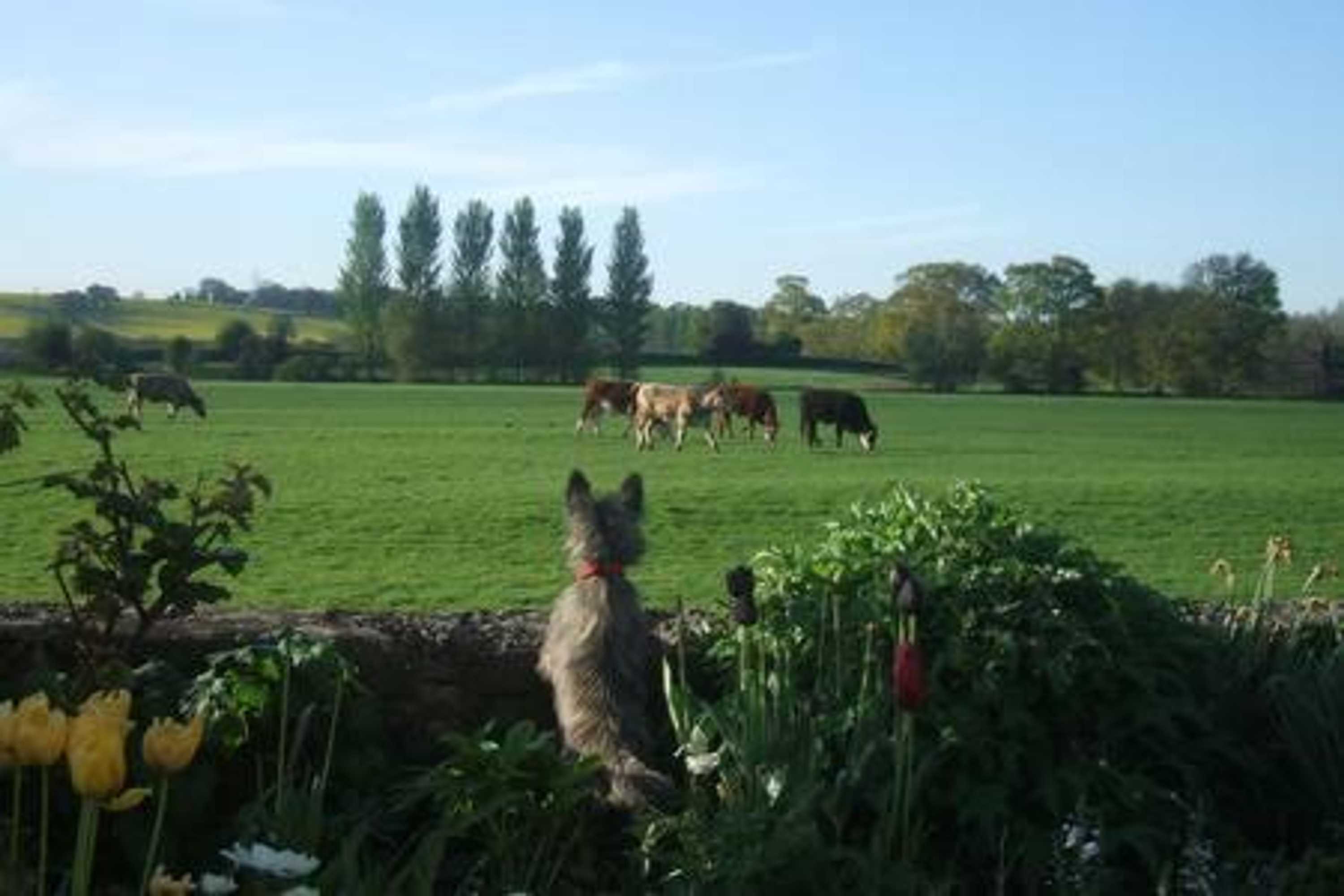 Gift card for Rectory Cottage