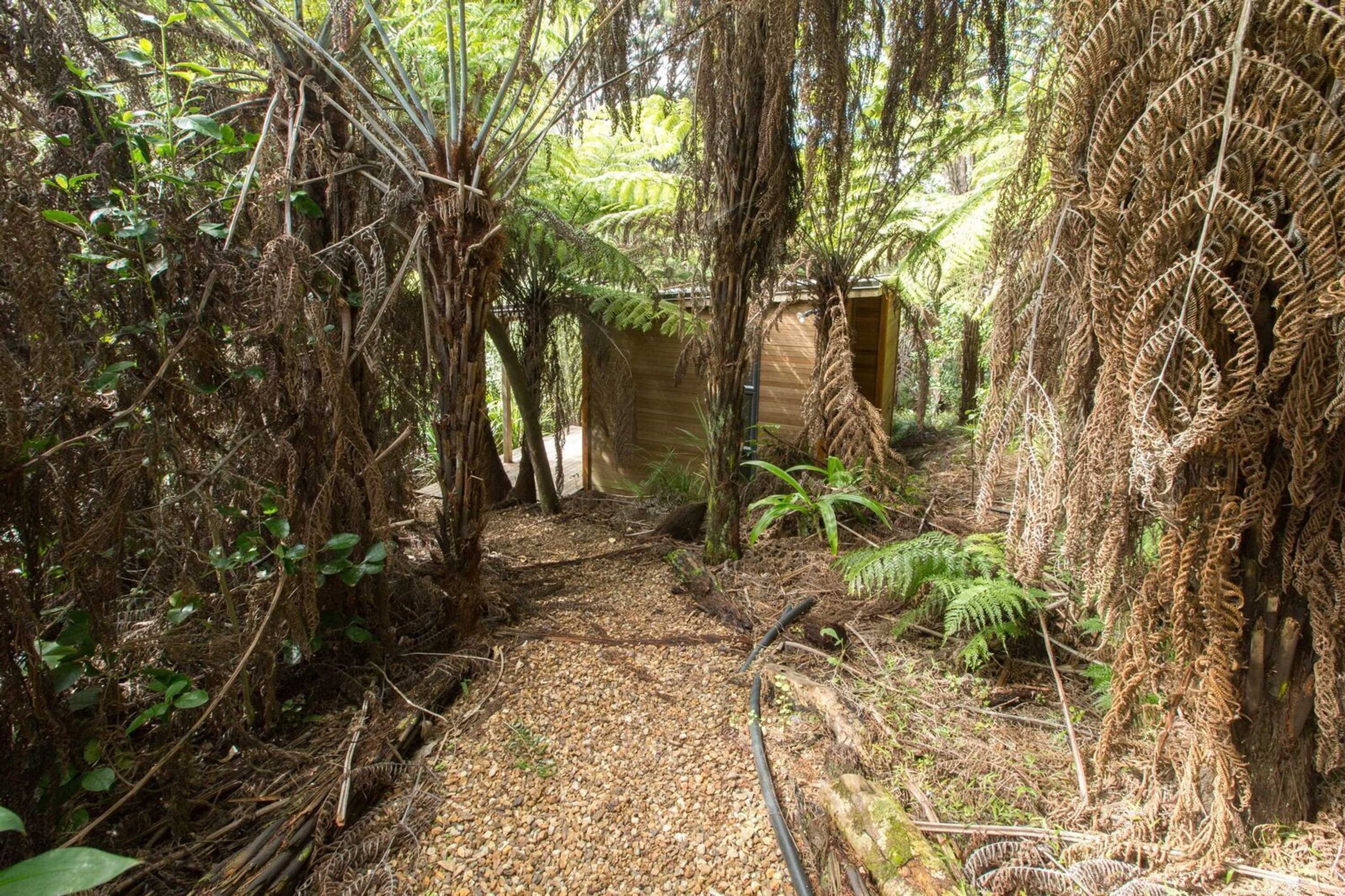 Gift card for Karaka Sanctuary Gift card for Karaka Sanctuary