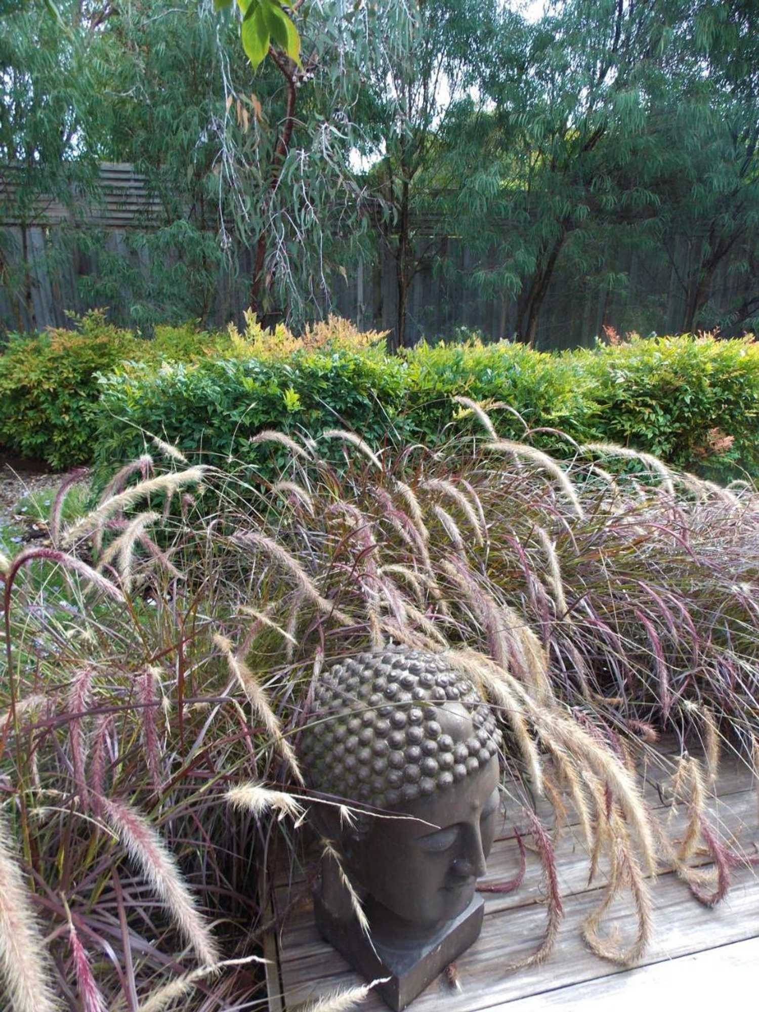 Gift card for Port Mccrae