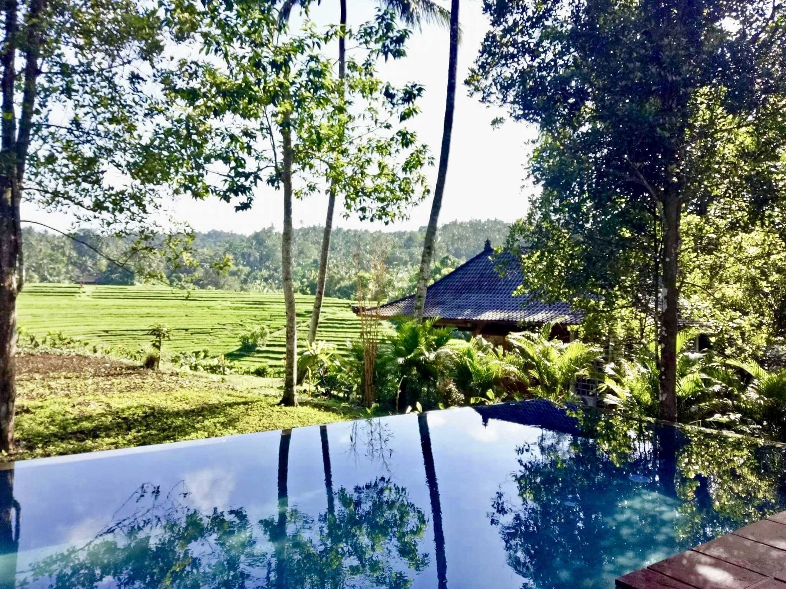 Gift card for Clove Tree Hill