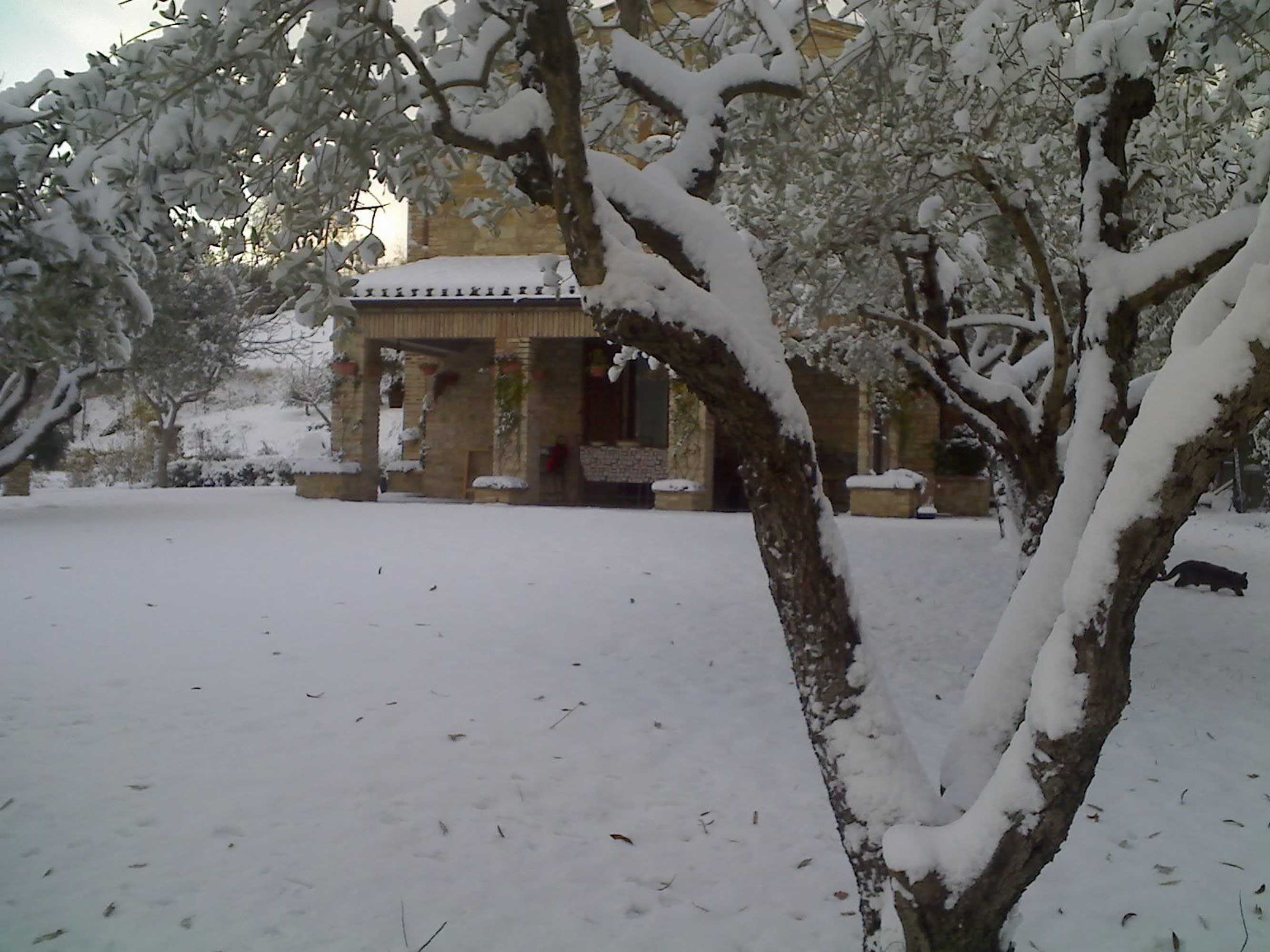 Gift card for Bed & Breakfast La Casa Delle Rondini Gift card for Bed & Breakfast La Casa Delle Rondini