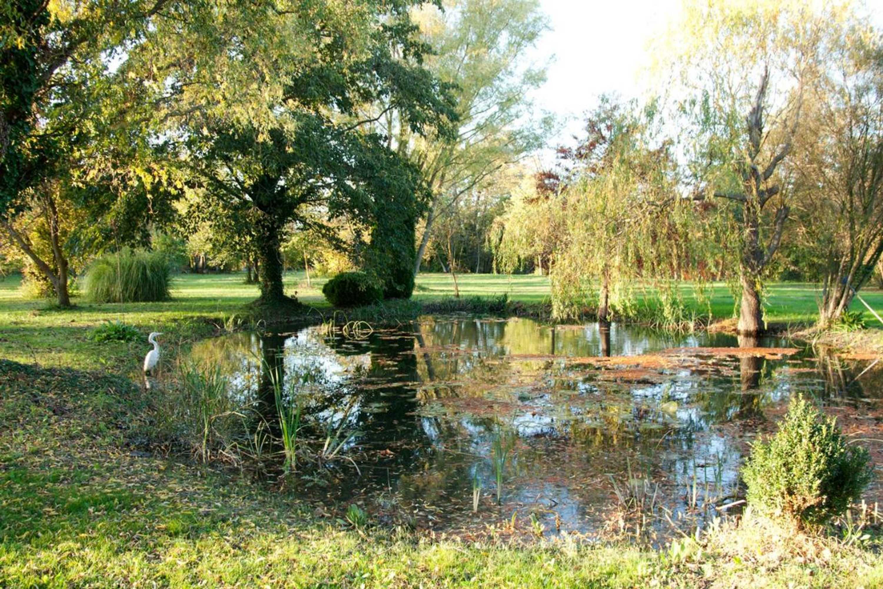 Gift card for Domaine Des Petits Cancets Gift card for Domaine Des Petits Cancets