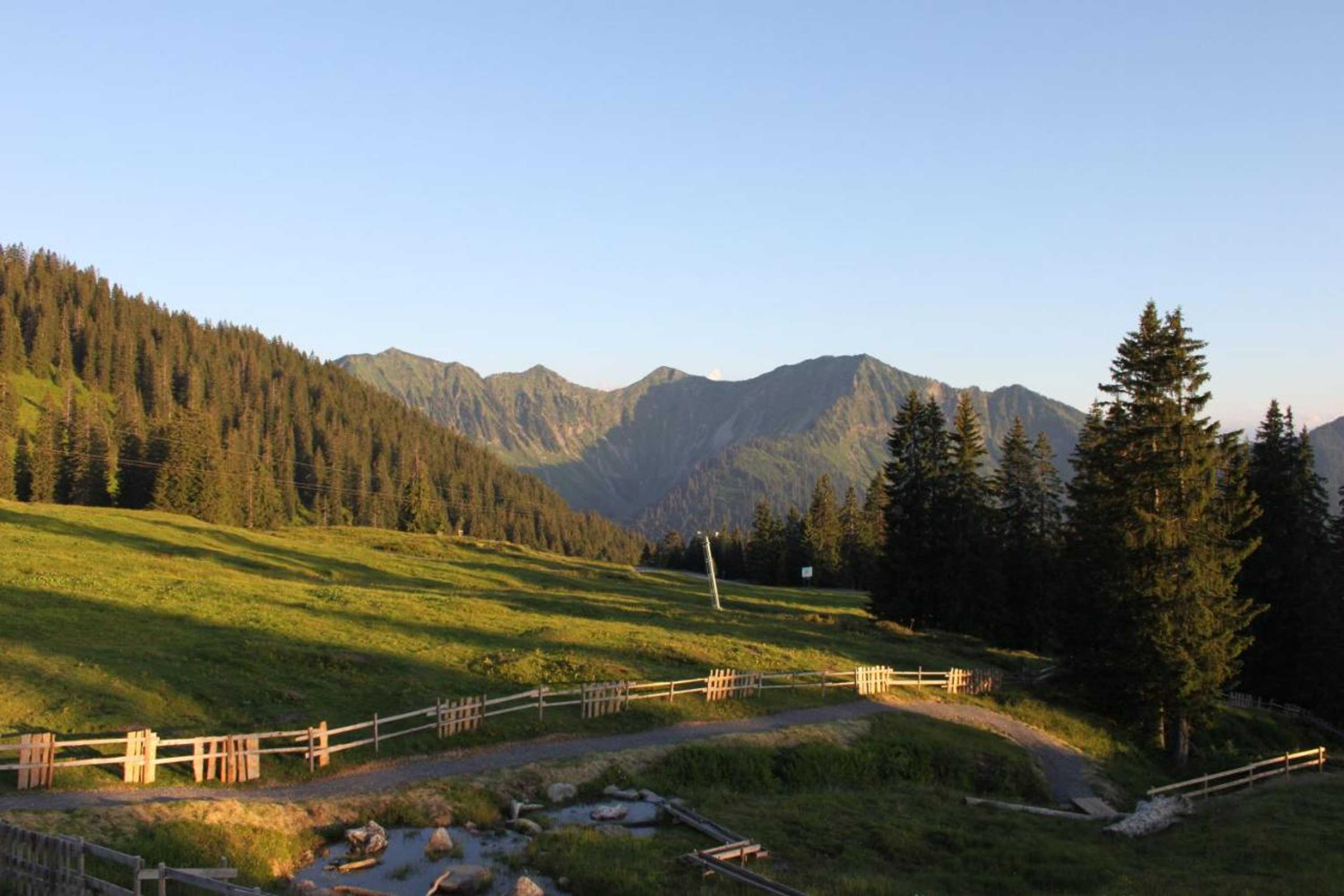 Gift card for Haus Matt