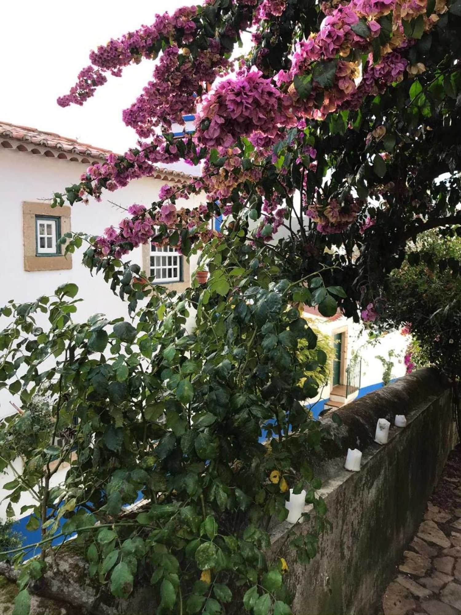 Gift card for Casa Picva