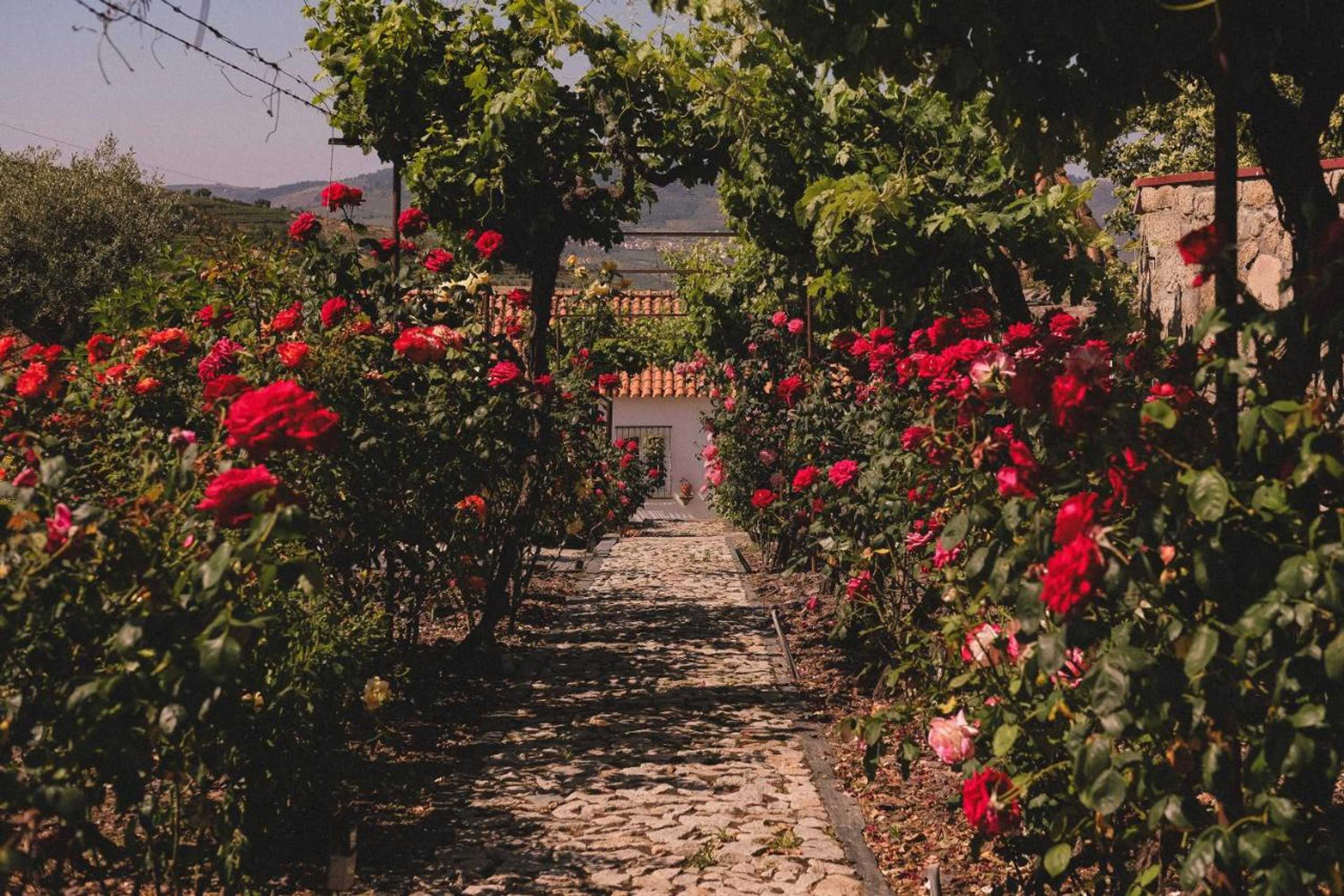 Gift card for Casal De Tralhariz Gift card for Casal De Tralhariz