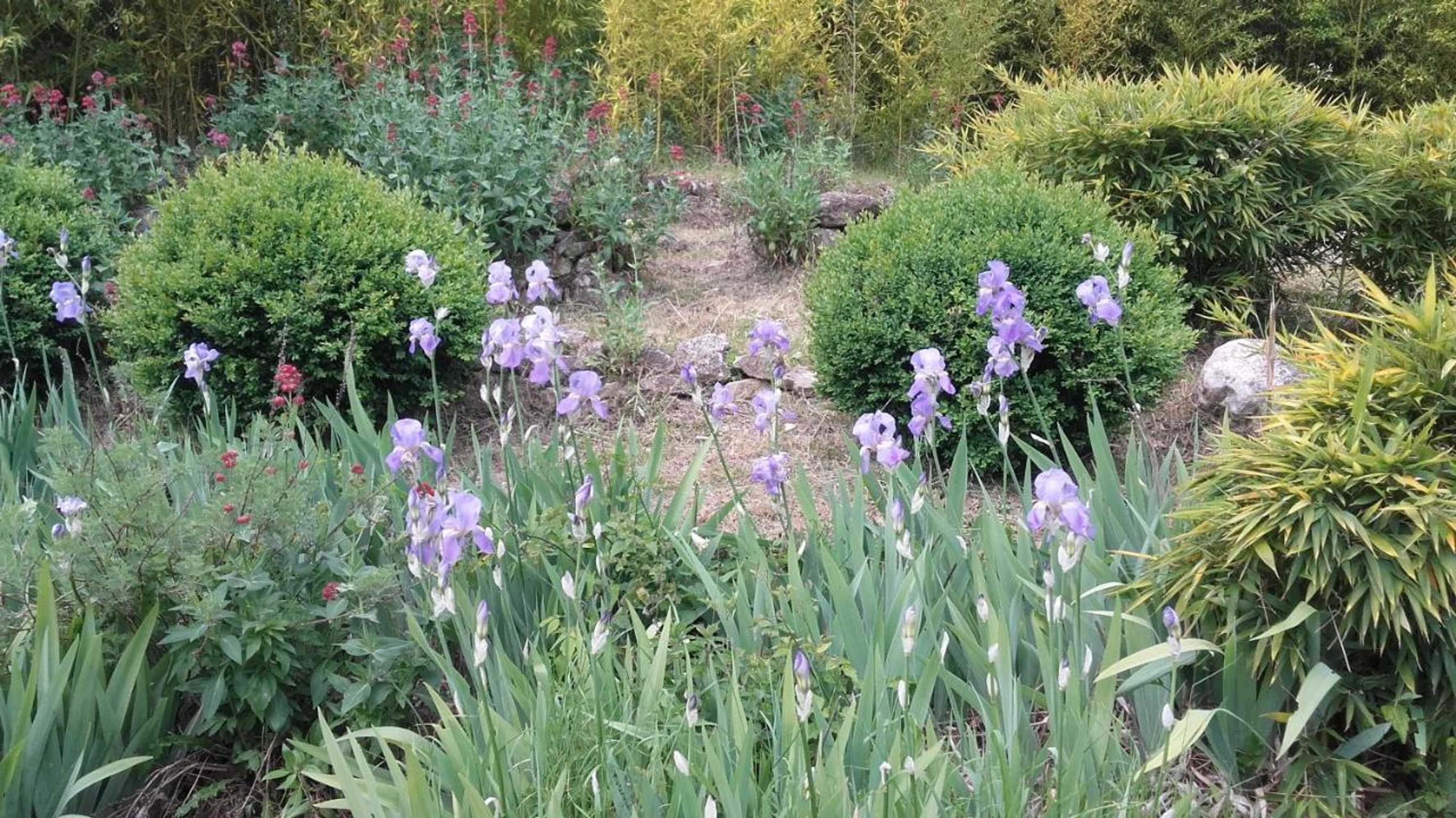 Gift card for Domaine Des Petits Cancets Gift card for Domaine Des Petits Cancets