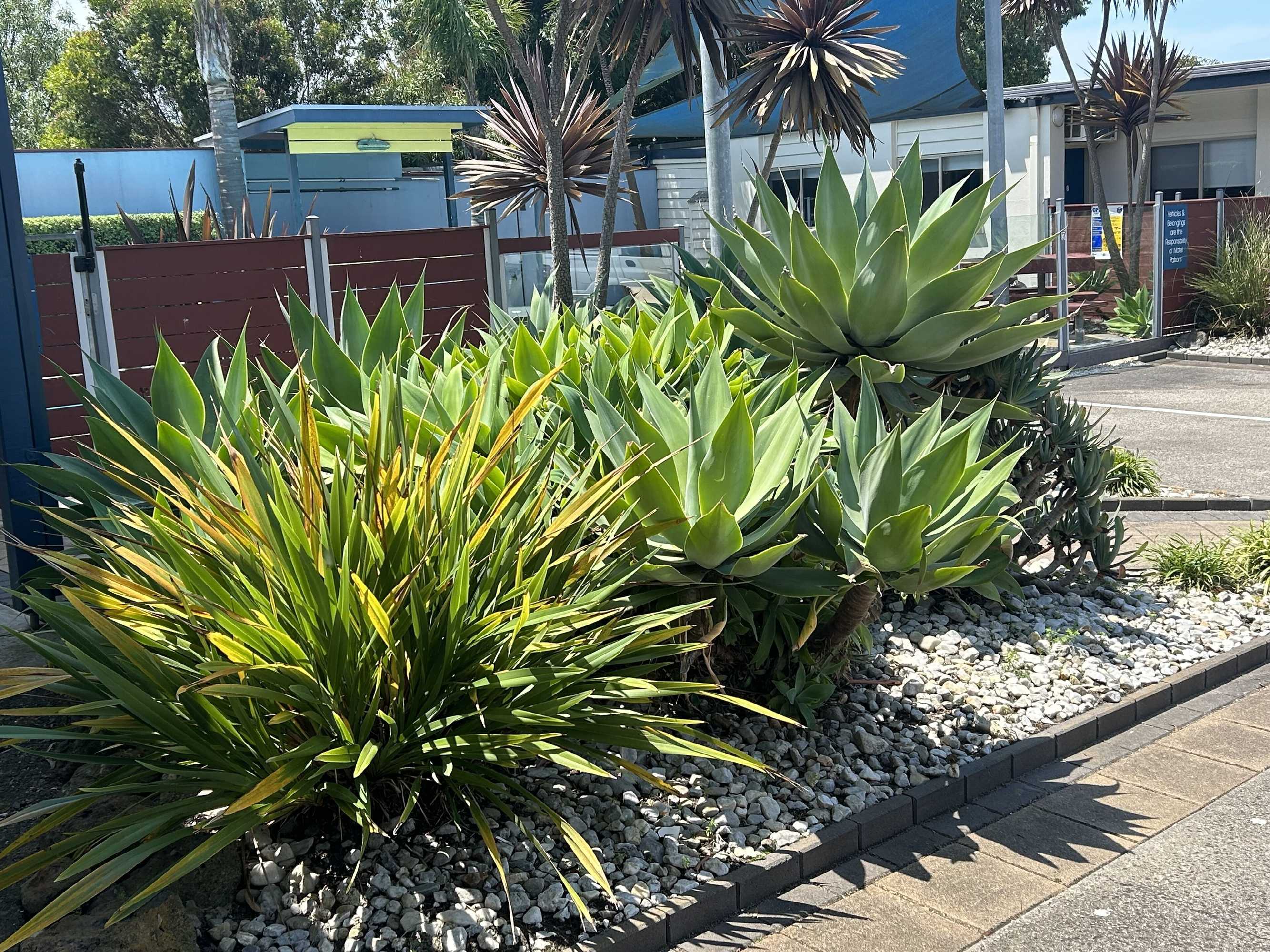 Gift card for Portarlington Beach Motel Gift card for Portarlington Beach Motel