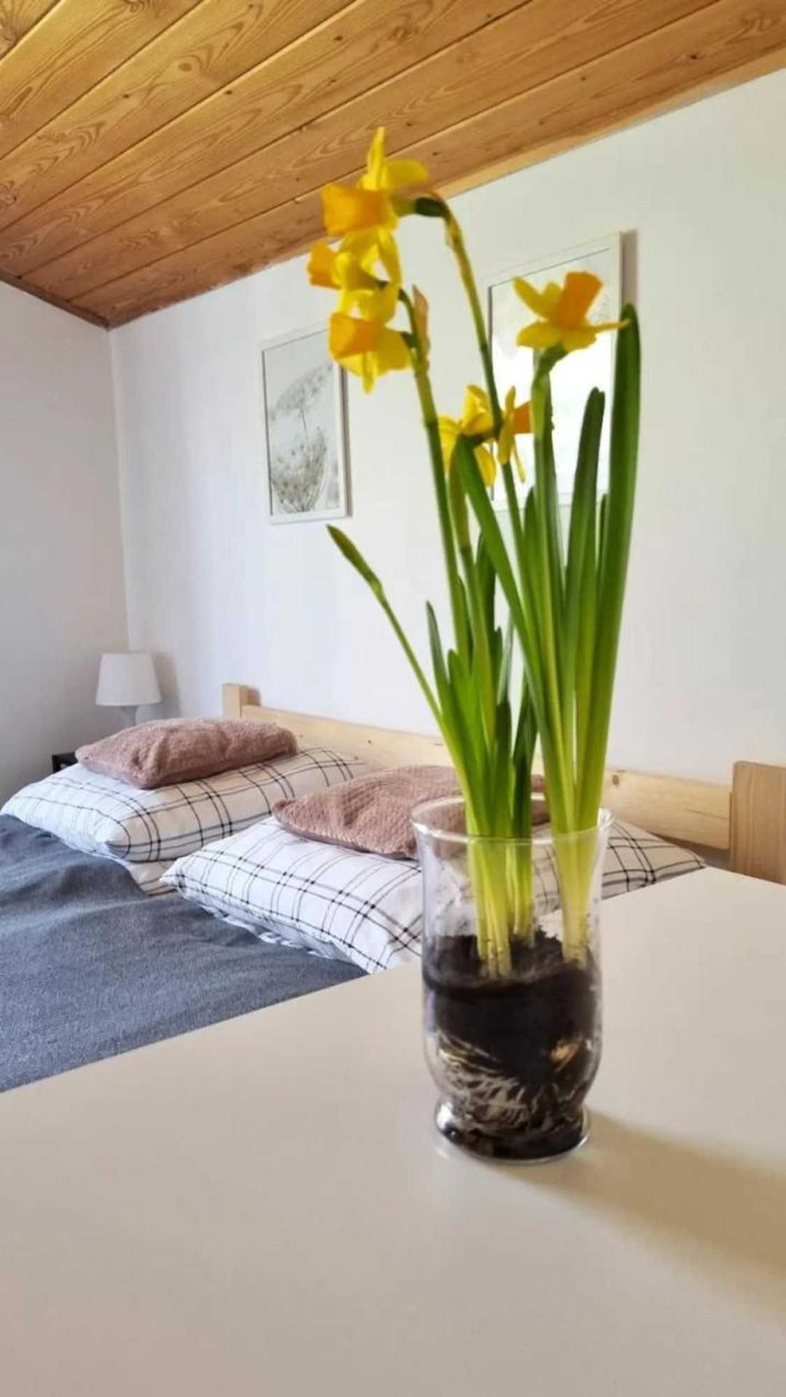 Gift card for Dach Pod Sową