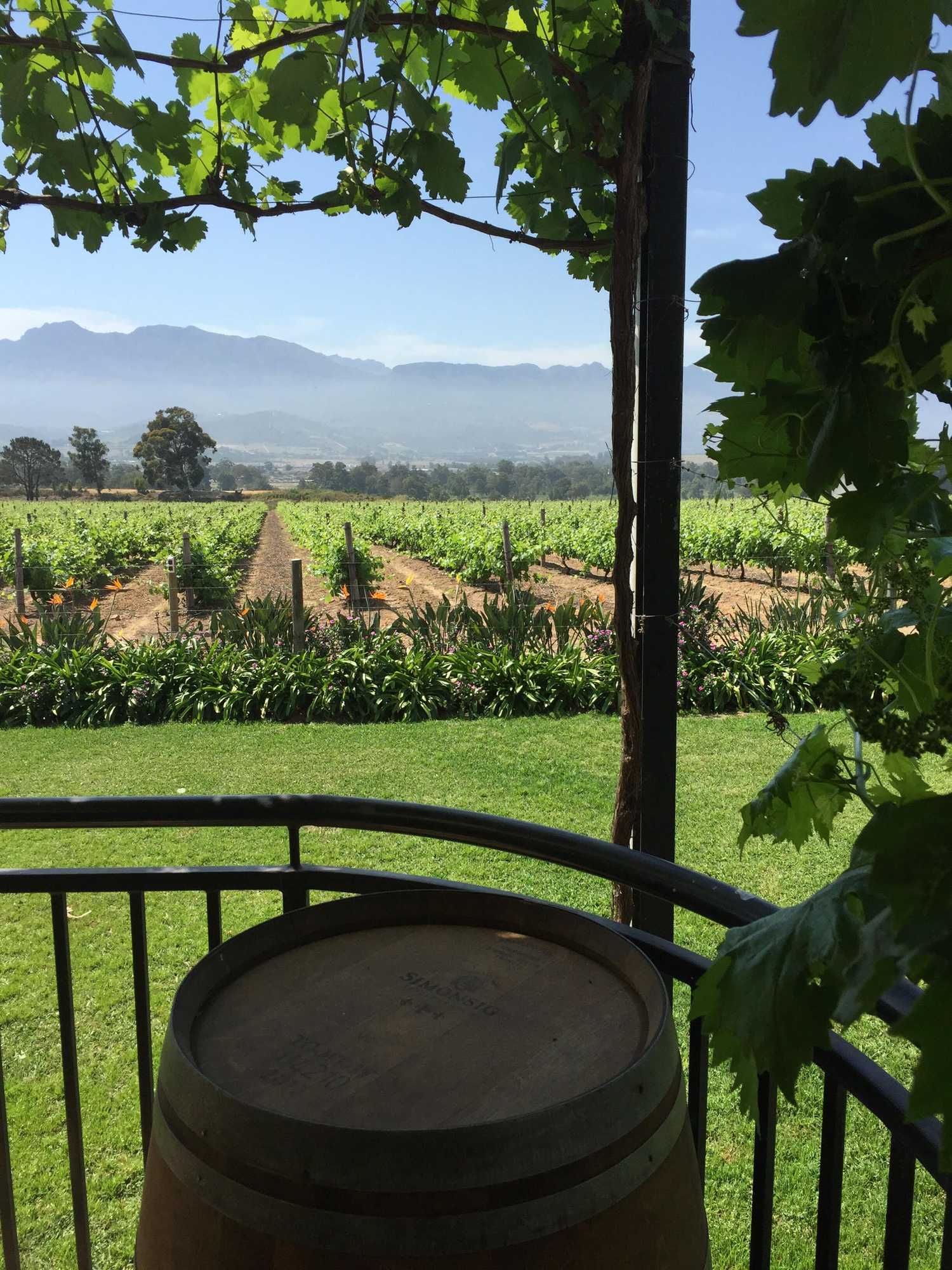 Gift card for Cana Vineyard Guesthouse Gift card for Cana Vineyard Guesthouse