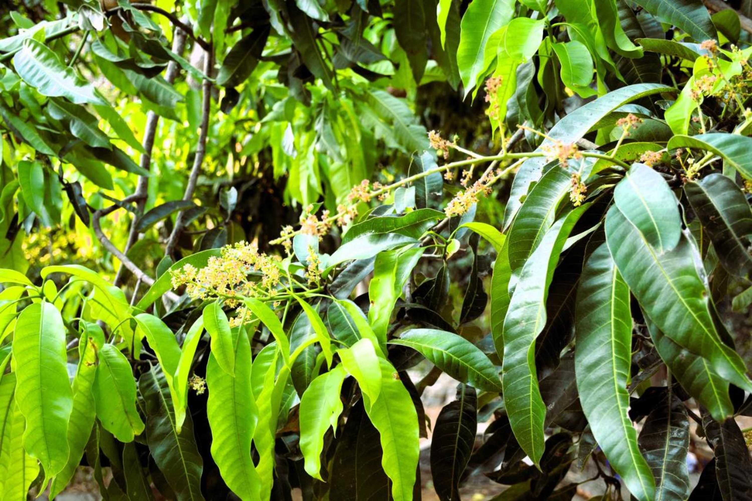 Gift card for Grand Okka Hotel