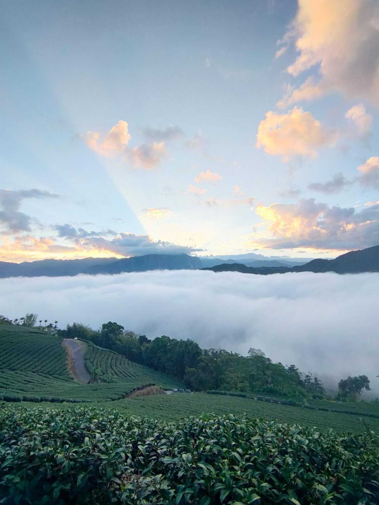 Gift card for Zhulin View B&b