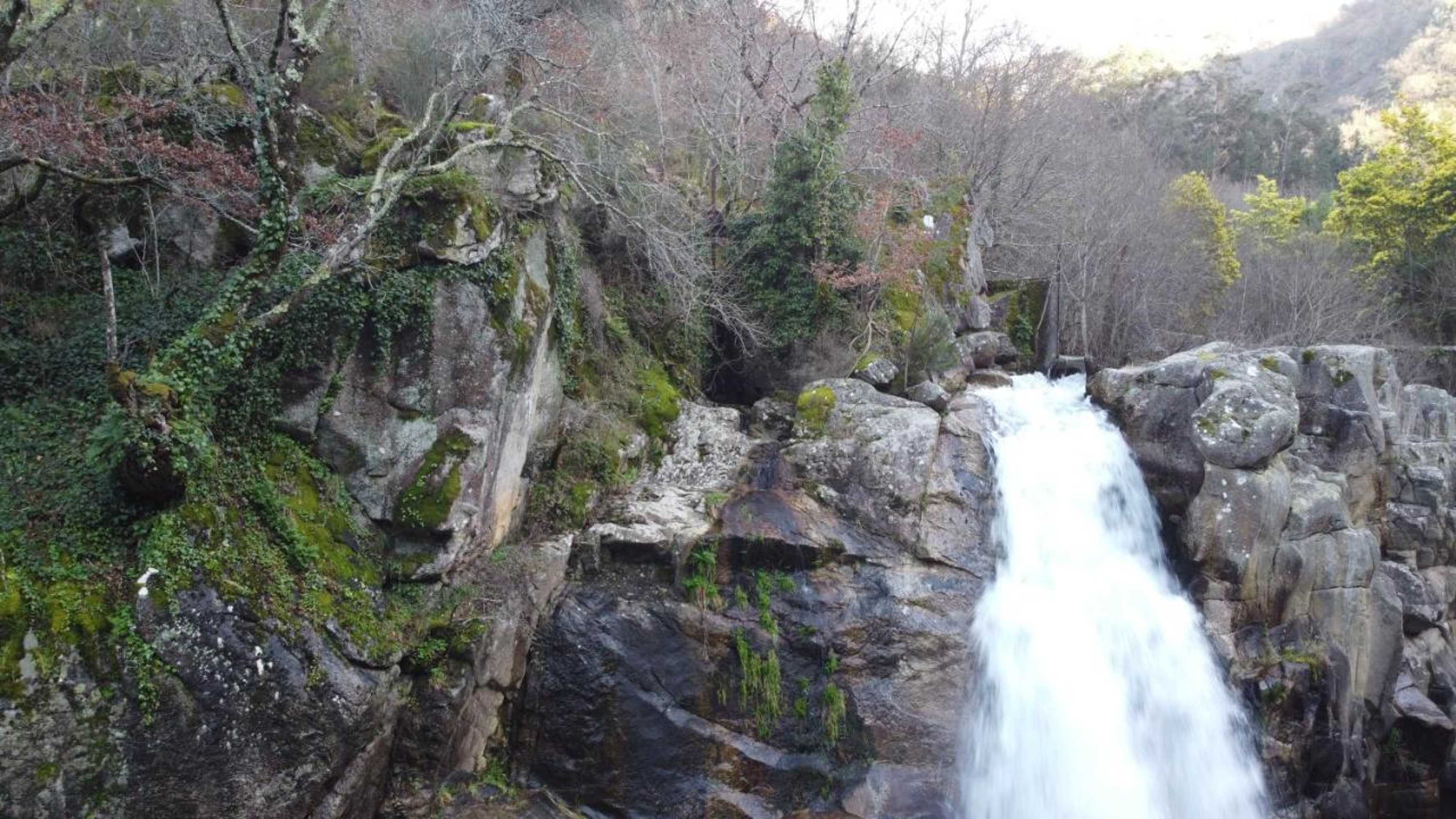 Gift card for Casa da Loja