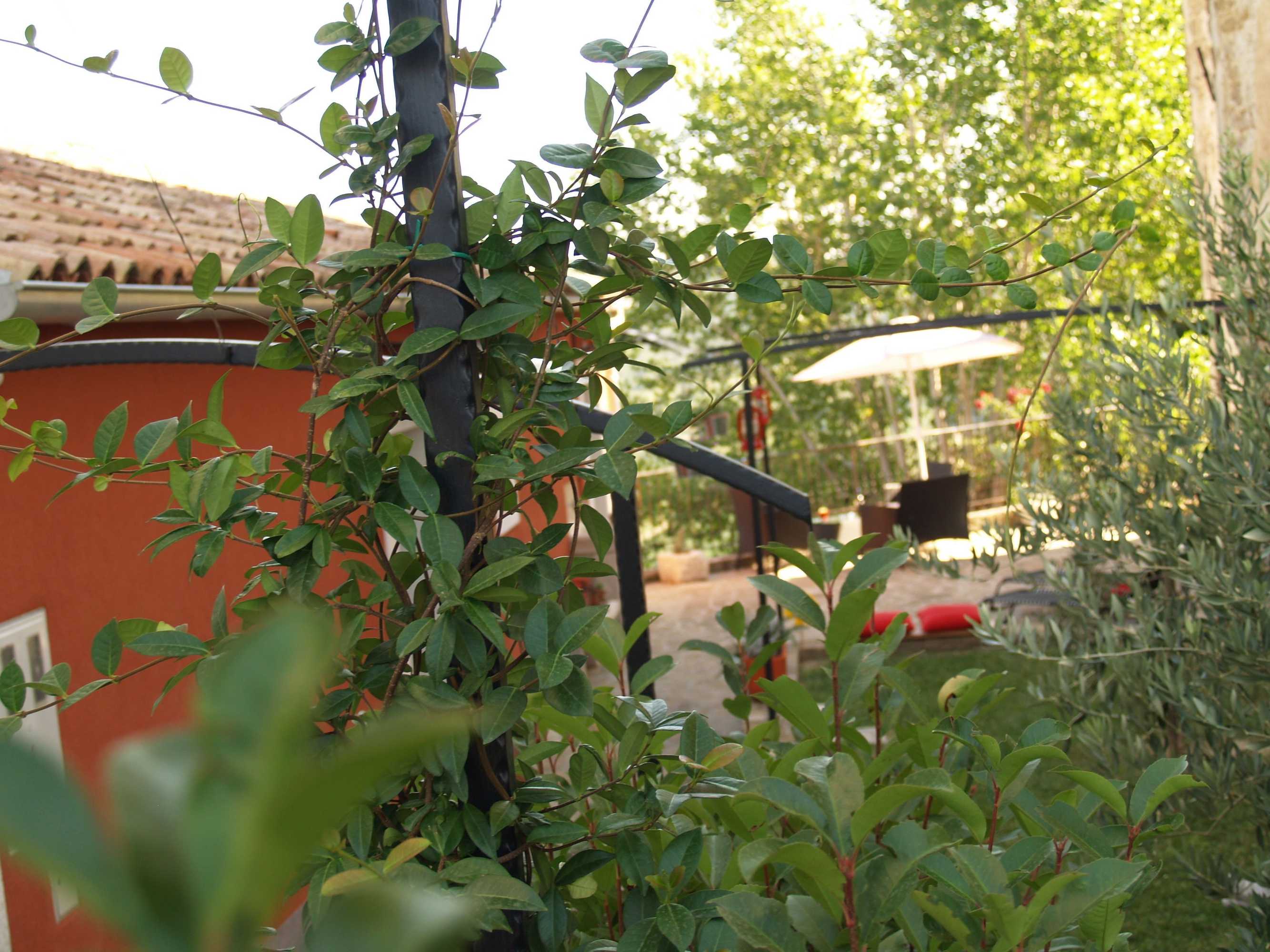 Gift card for Provvidenza