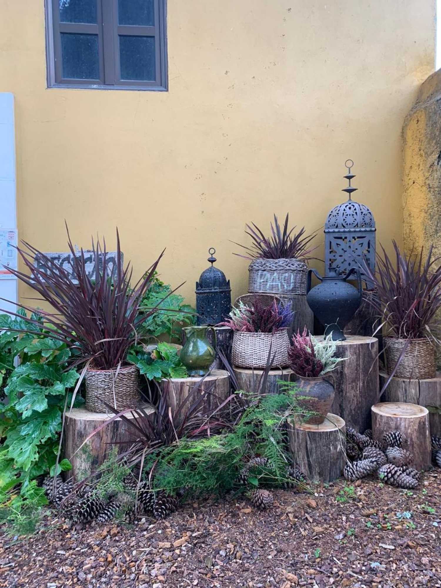 Gift card for Casa De Campo Colmeal