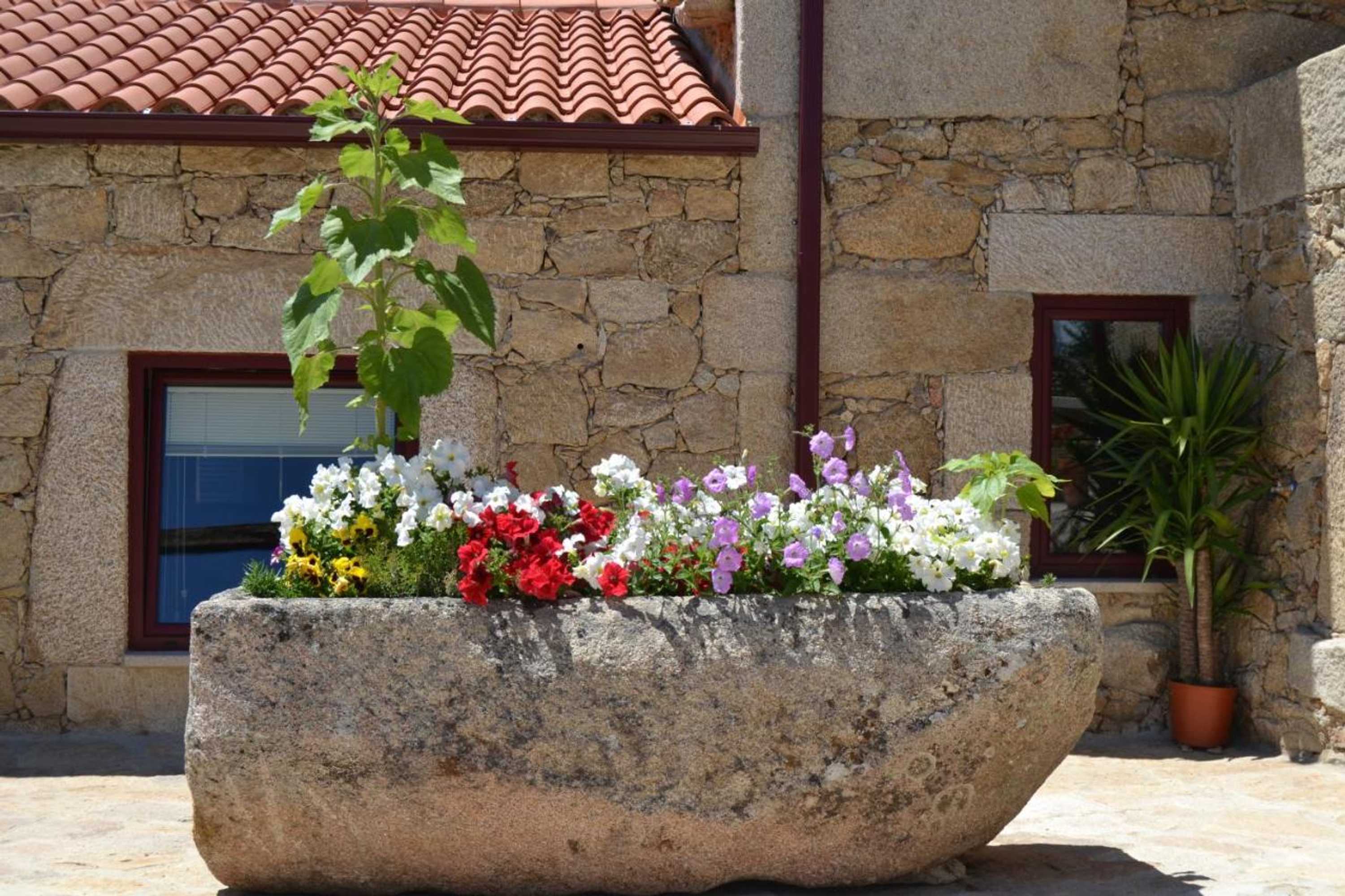 Gift card for Carya Tallaya - Casas de Campo