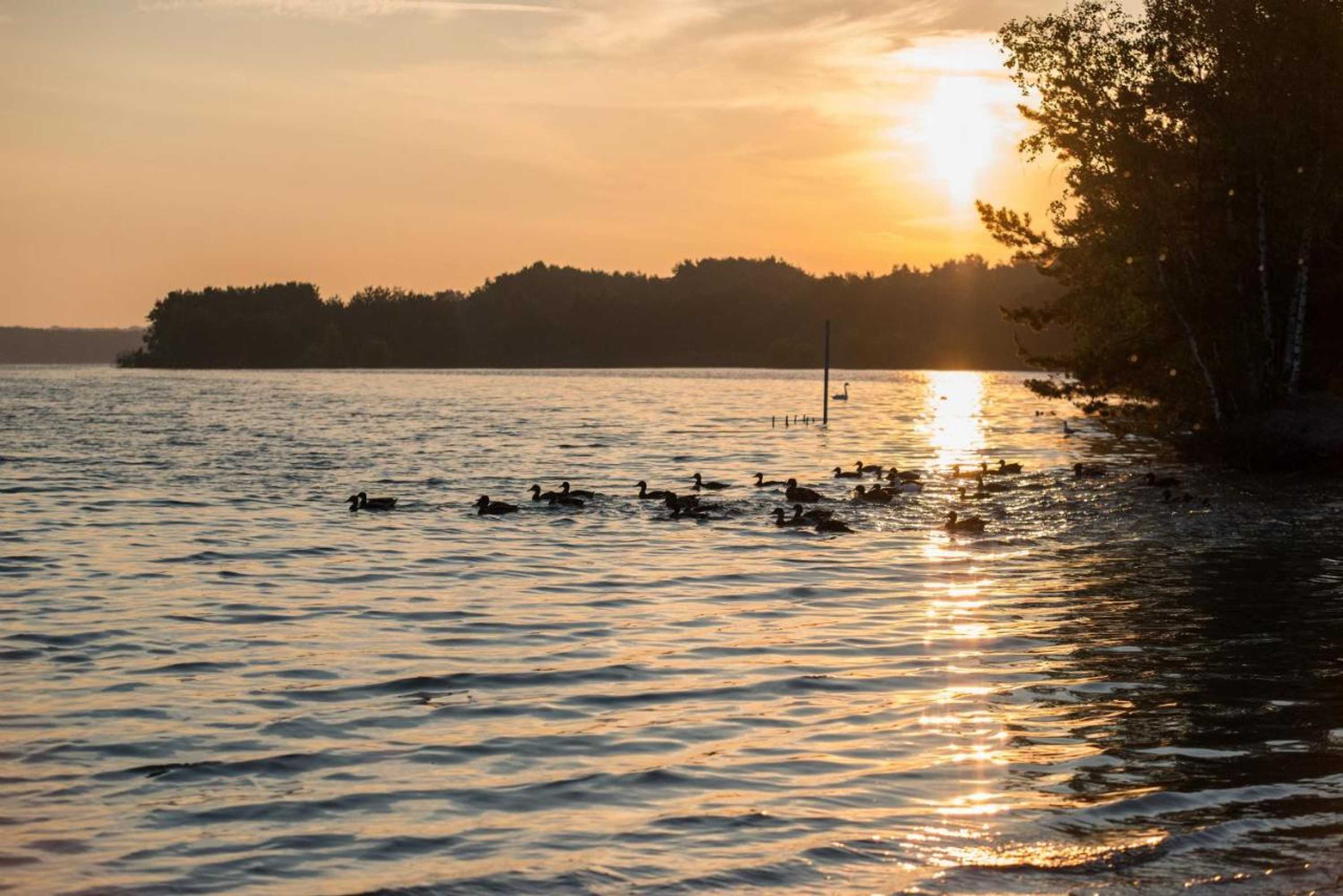 Gift card for Hotel Sunparks Kempensen Meren