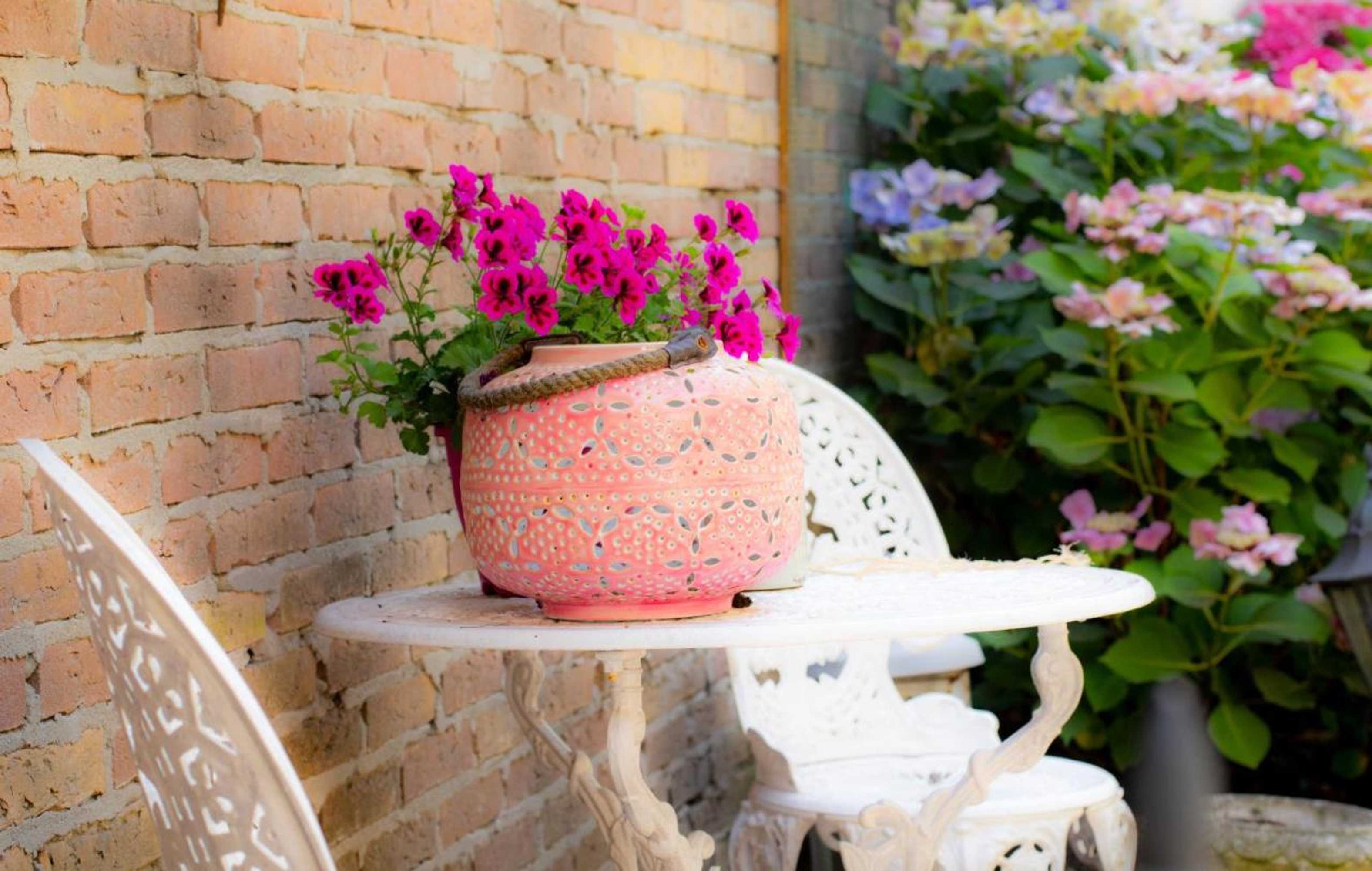 Gift card for B&b Bed & Sauna