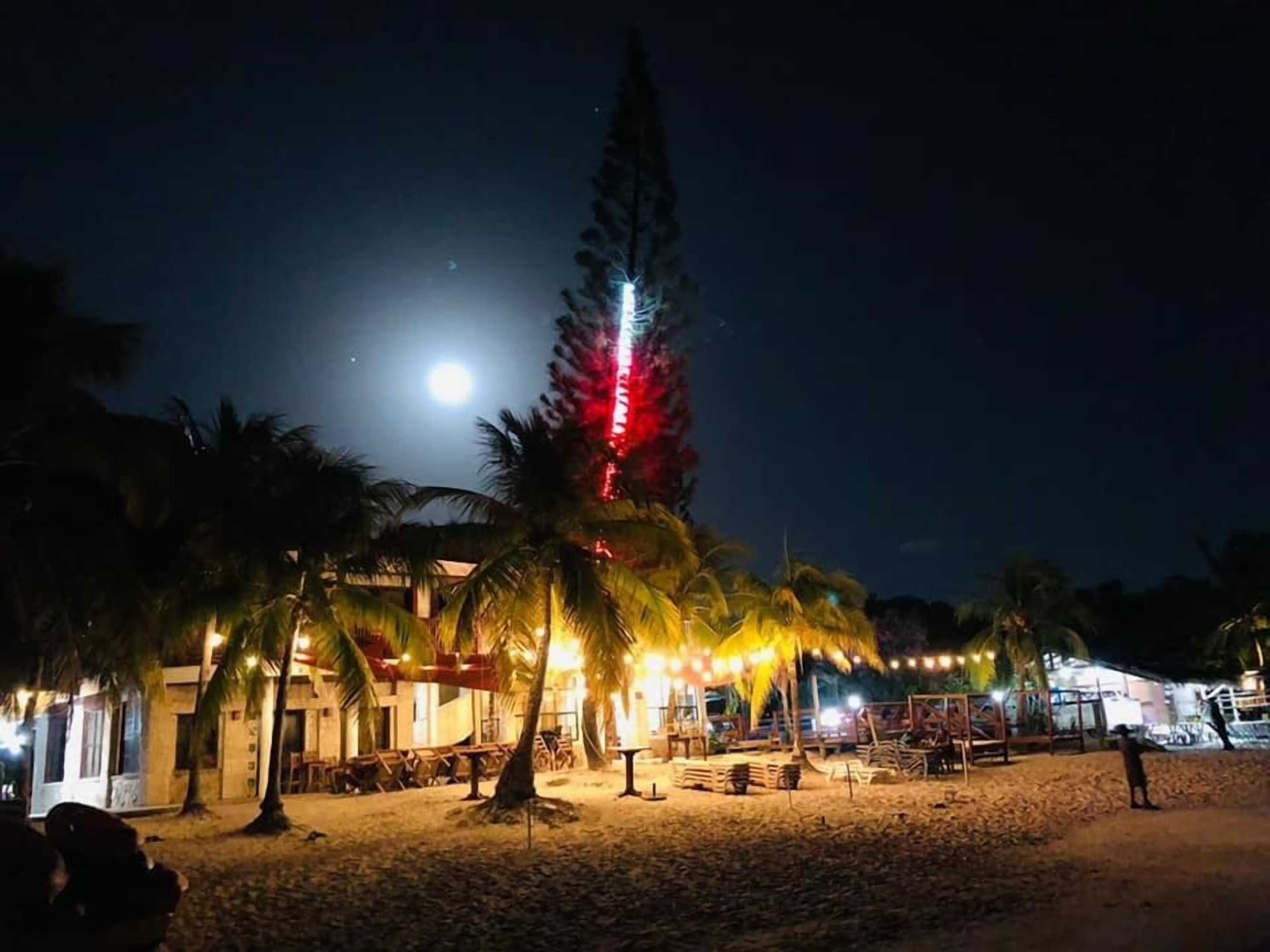 Gift card for Coconut Tree West Bay Gift card for Coconut Tree West Bay
