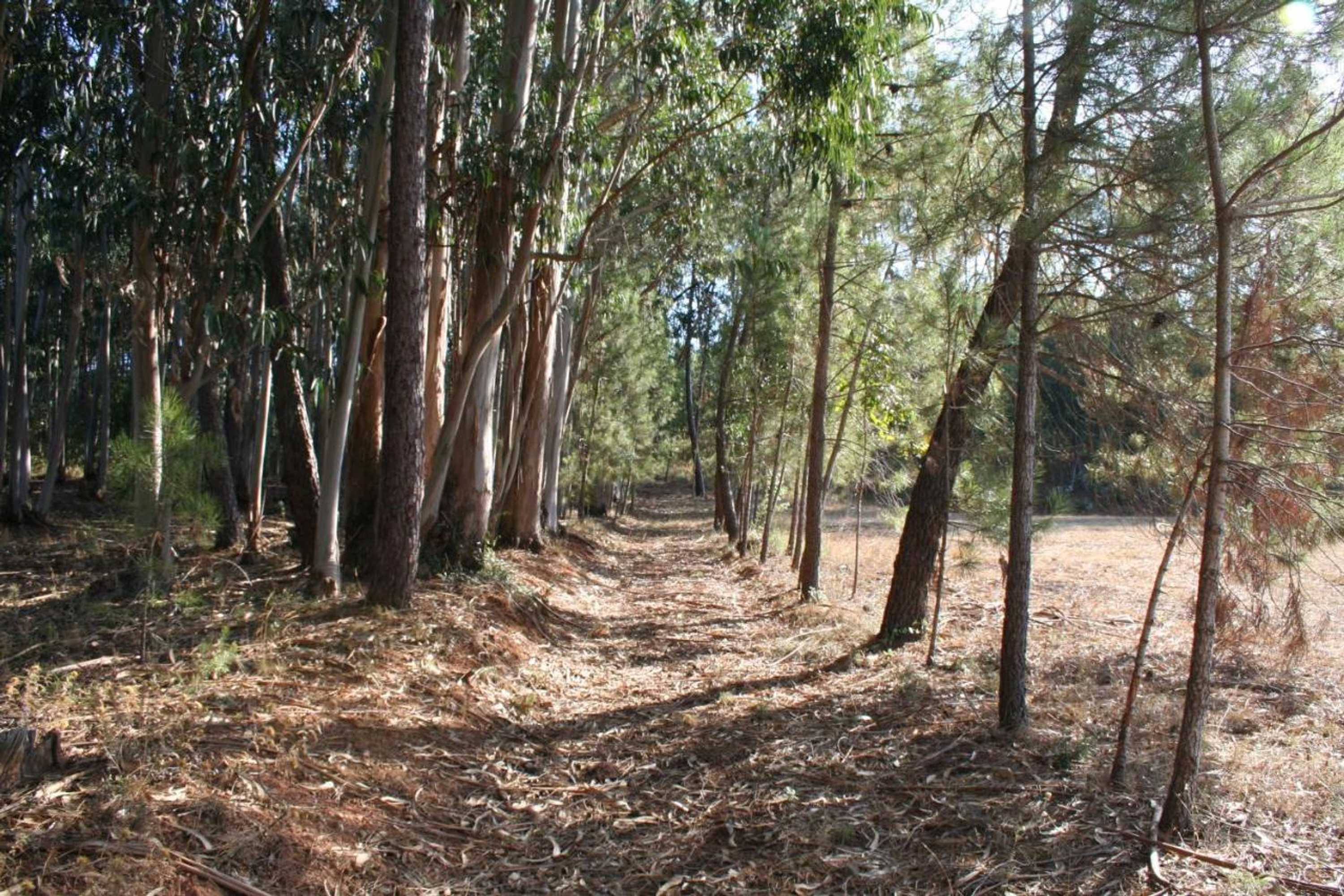 Gift card for Encosta da Camarinha Gift card for Encosta da Camarinha