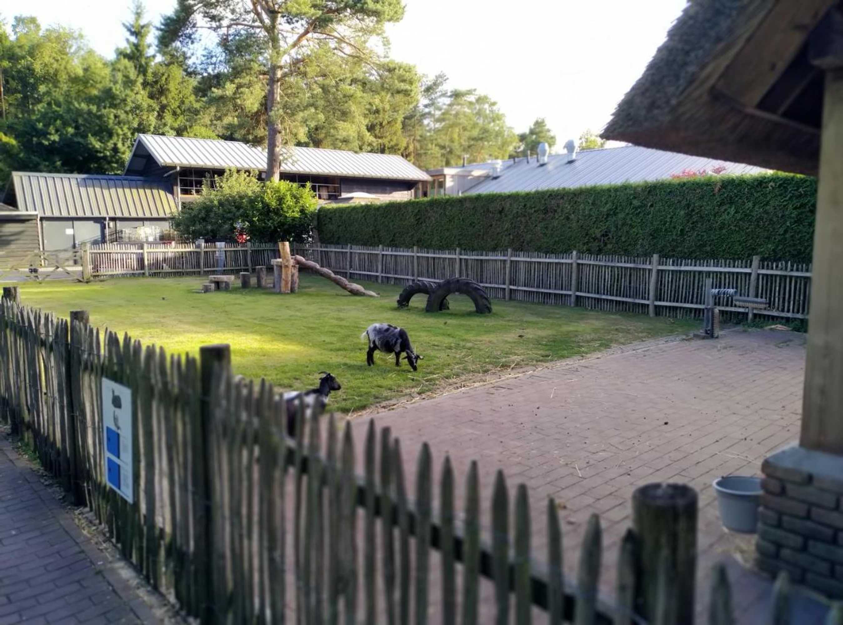 Gift card for De Stamper - De Wije Werelt