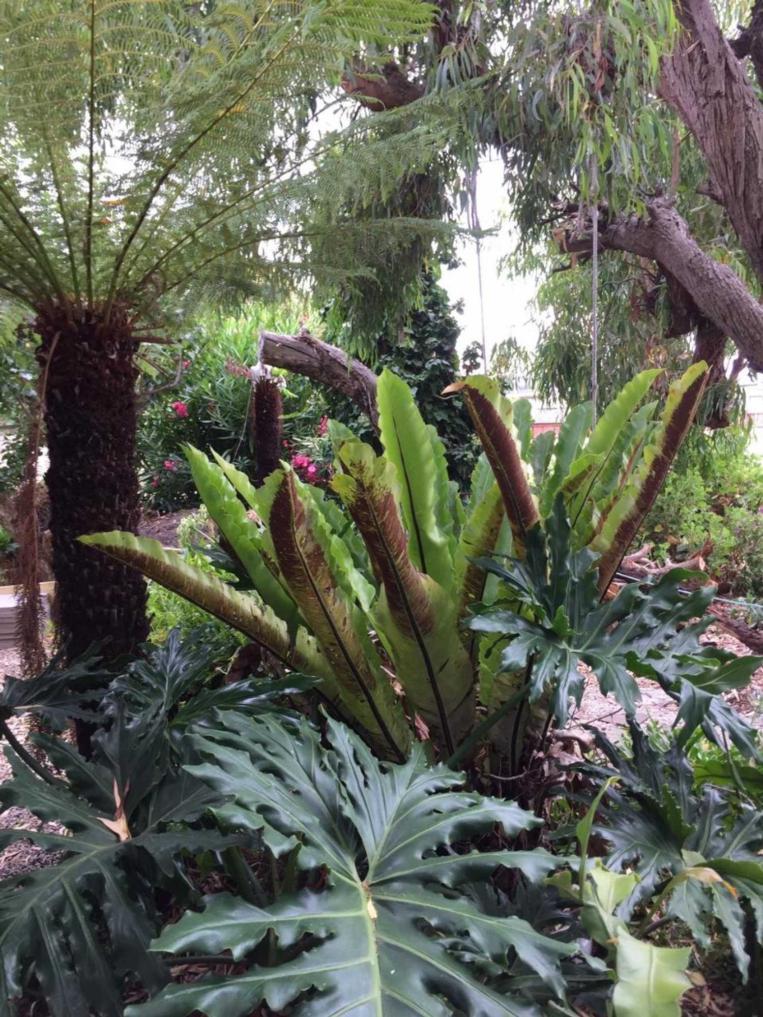 Gift card for Sea Salt Bnb