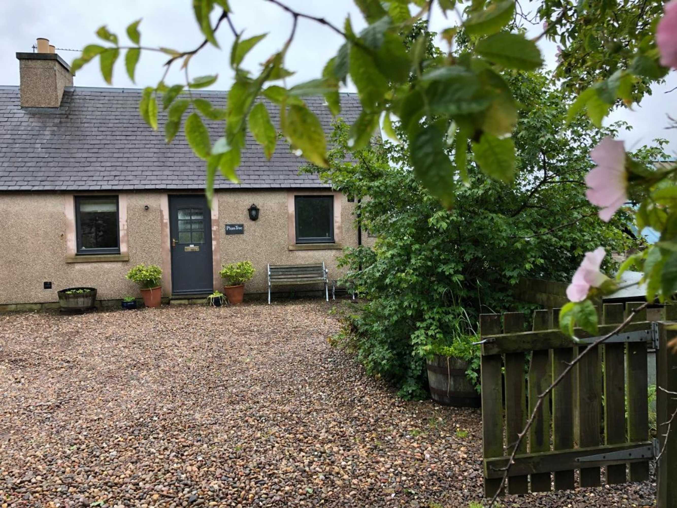 Gift card for Plumtree Cottage