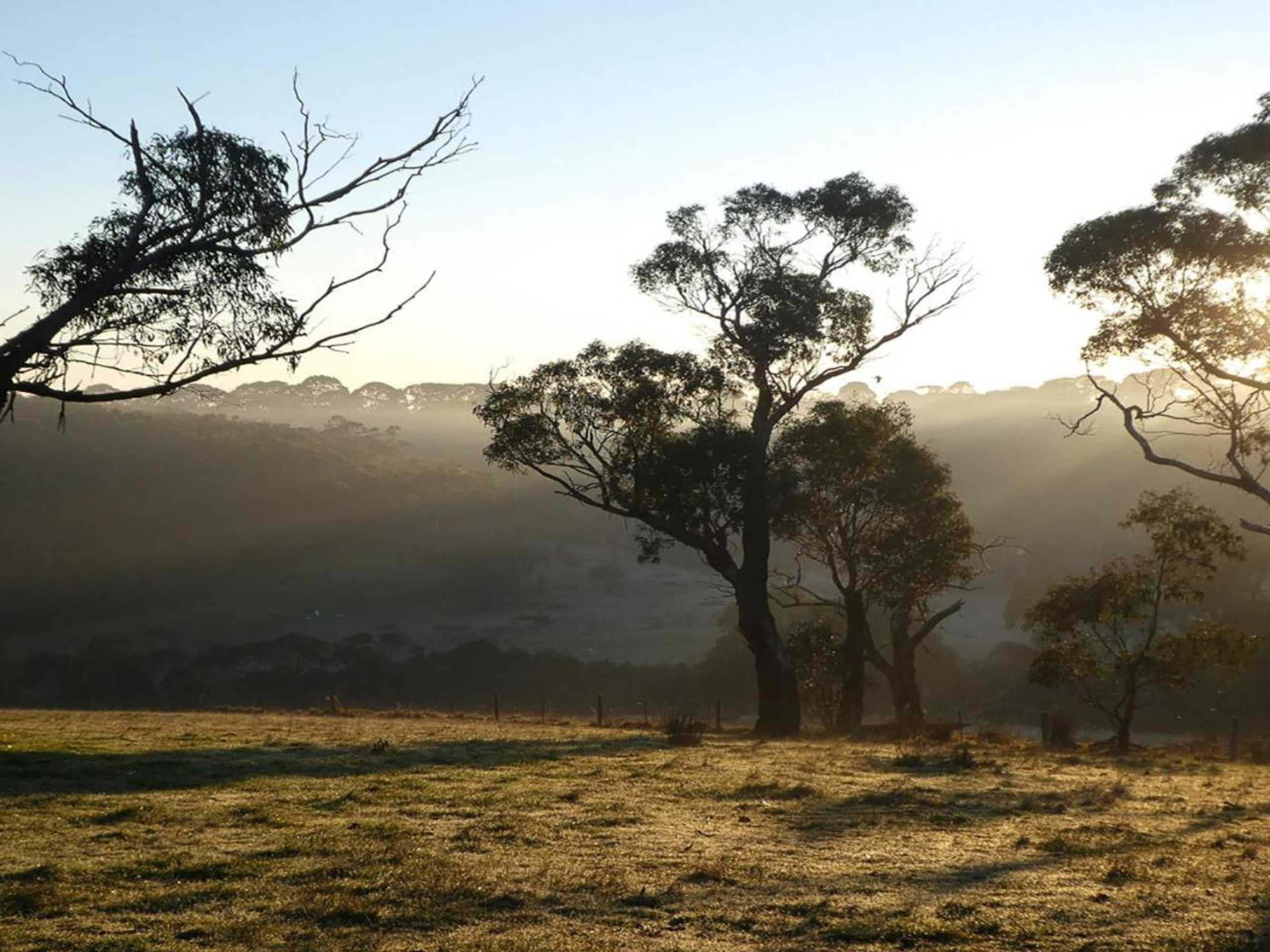 Gift card for Red Hill Ridge