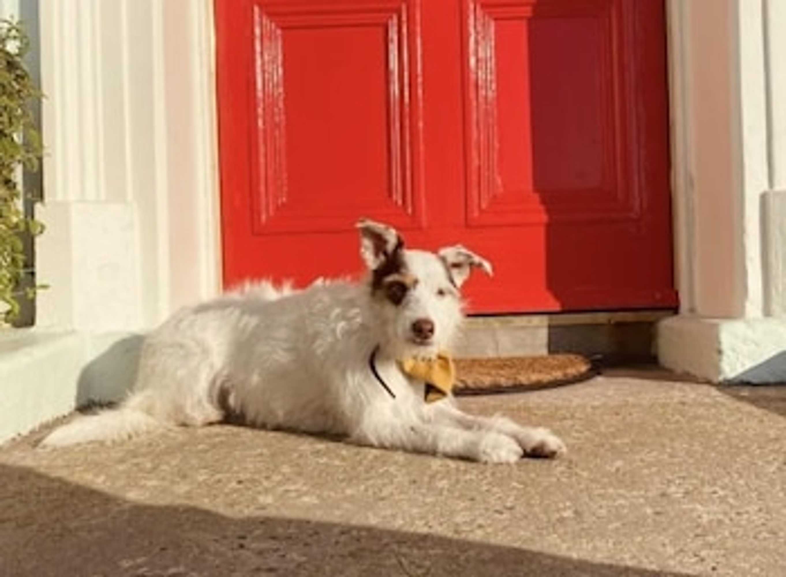 Gift card for Loughview