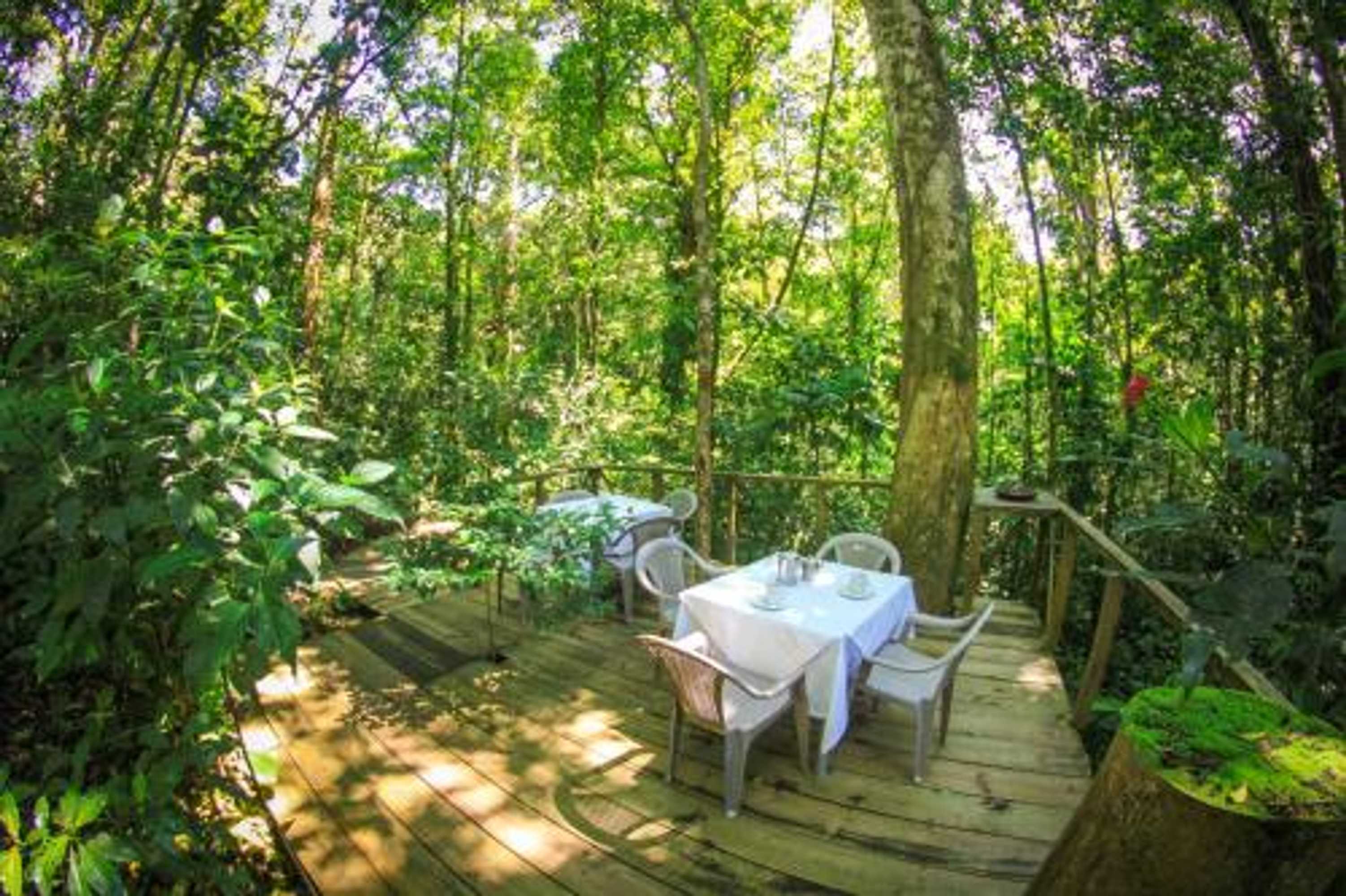 Gift card for Wagelia Espino Blanco Lodge Gift card for Wagelia Espino Blanco Lodge
