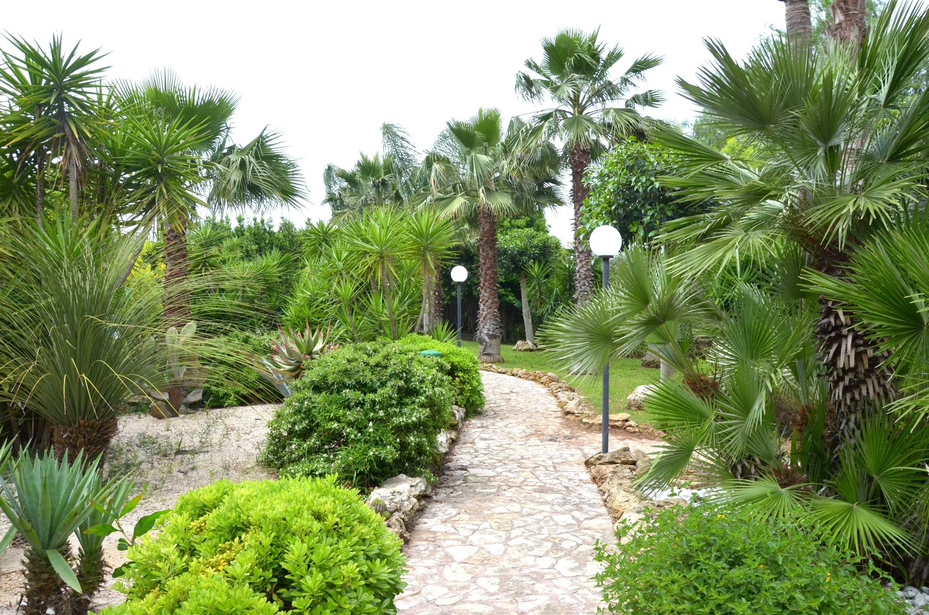 Gift card for Masseria Pisciani Gift card for Masseria Pisciani