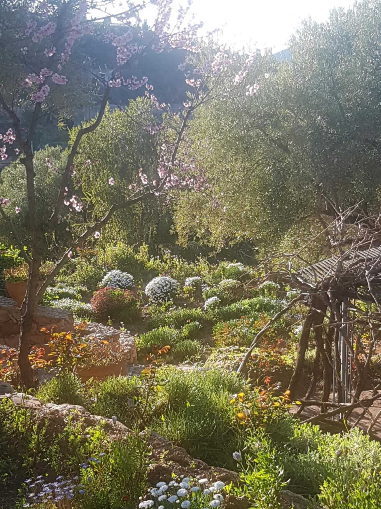 Gift card for Domaine La Source