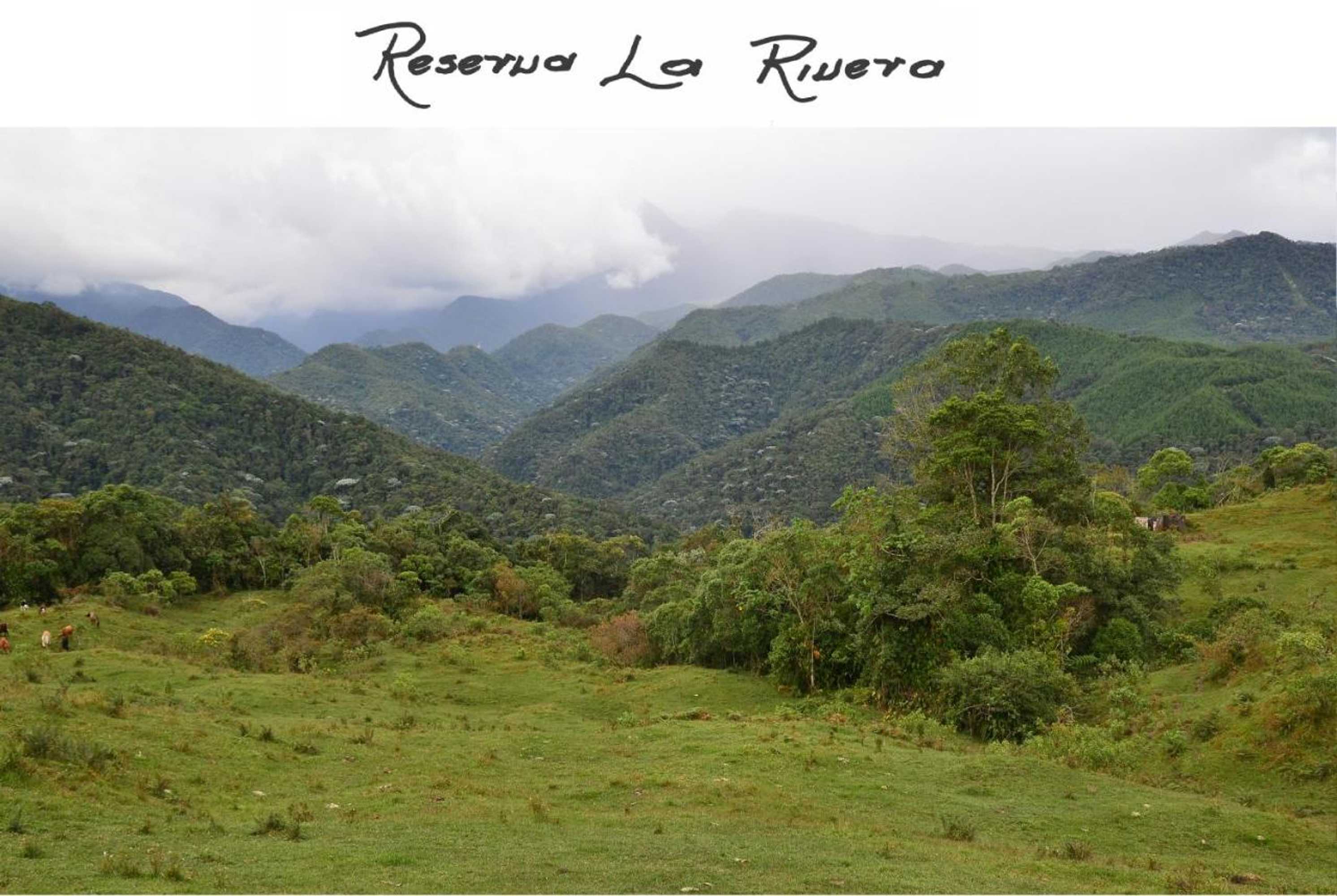 Gift card for Reserva La Rivera