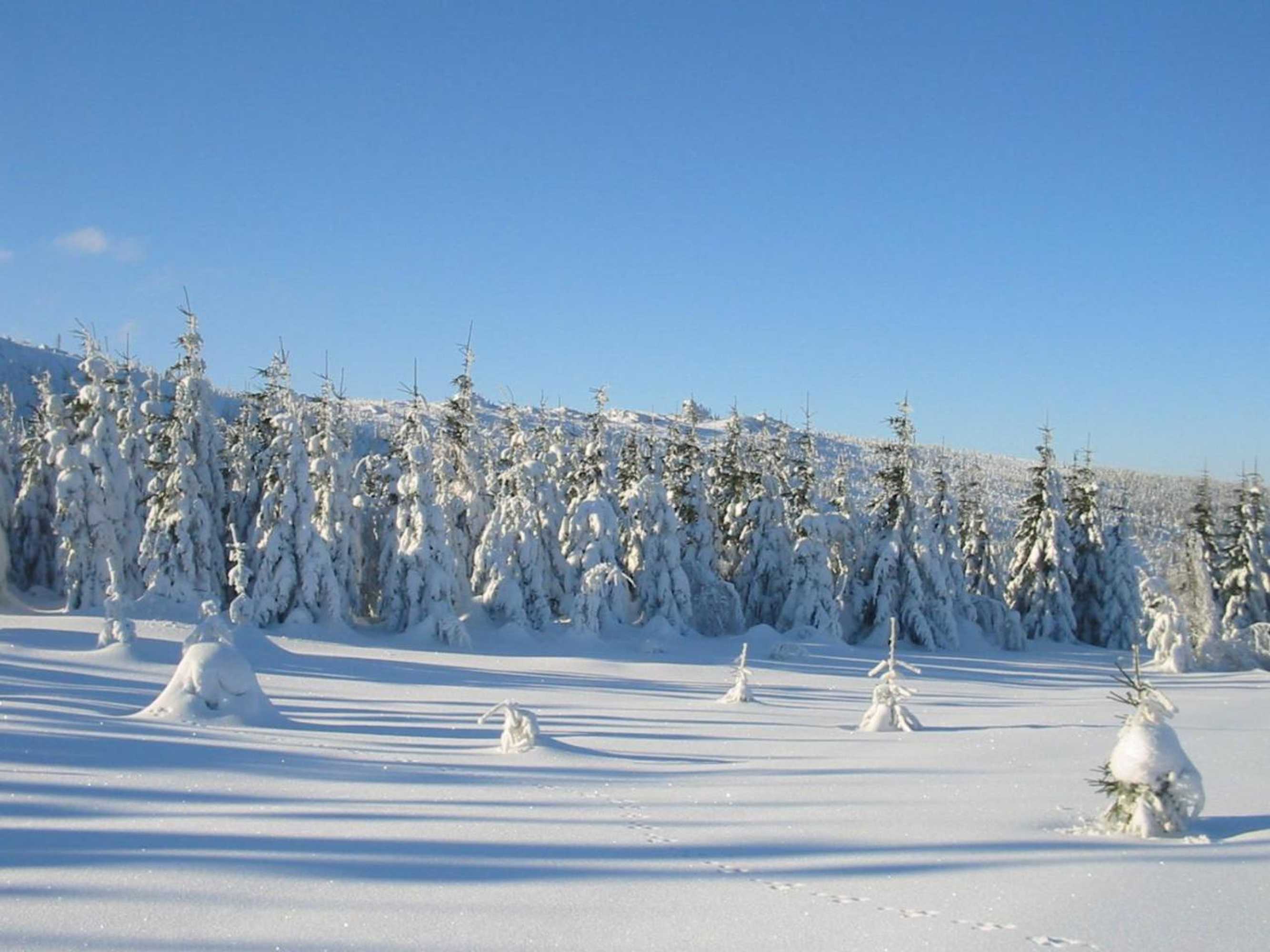 Gift card for Apartmány Hotelu Ostrý