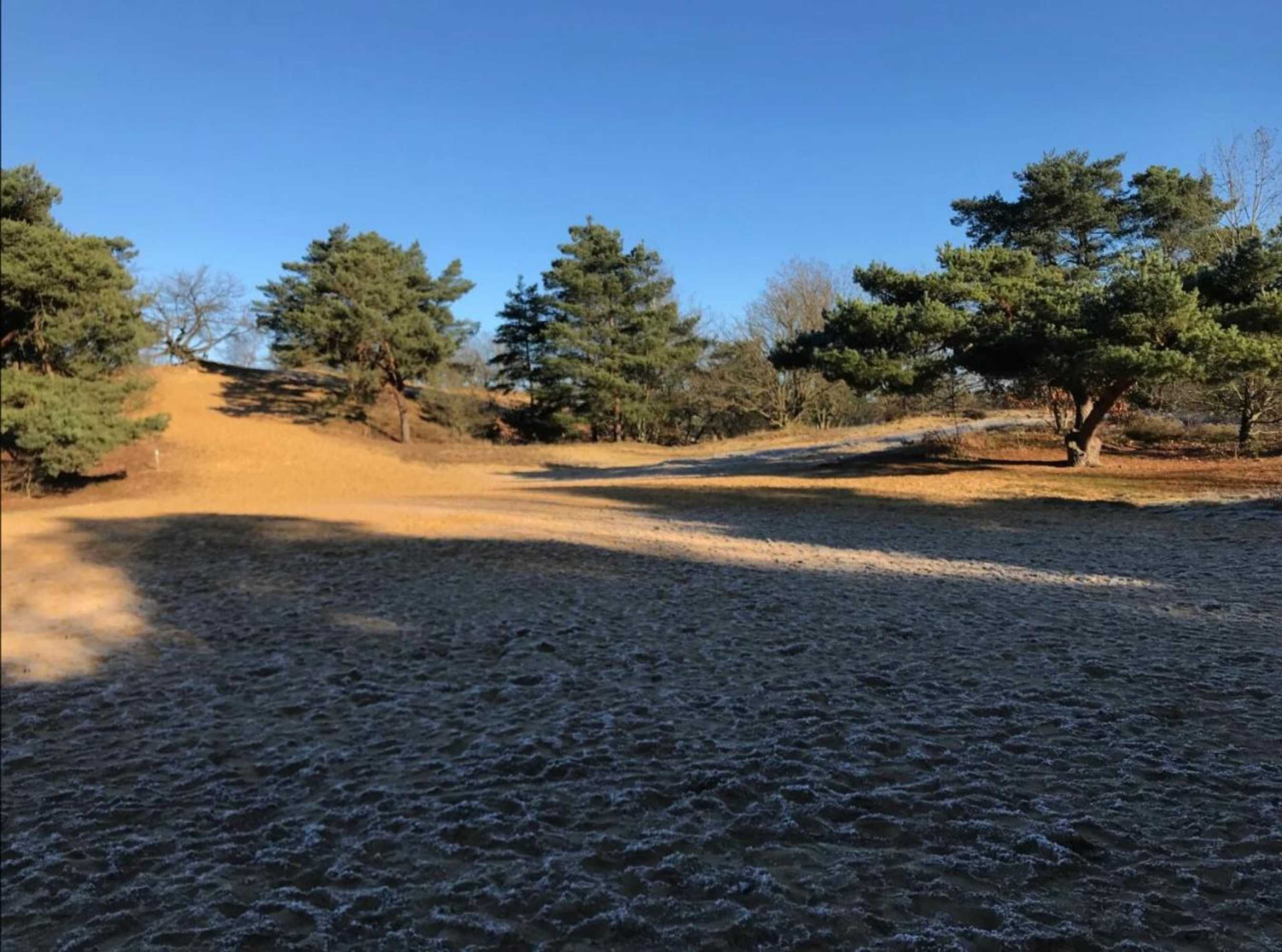 Gift card for Heidebos