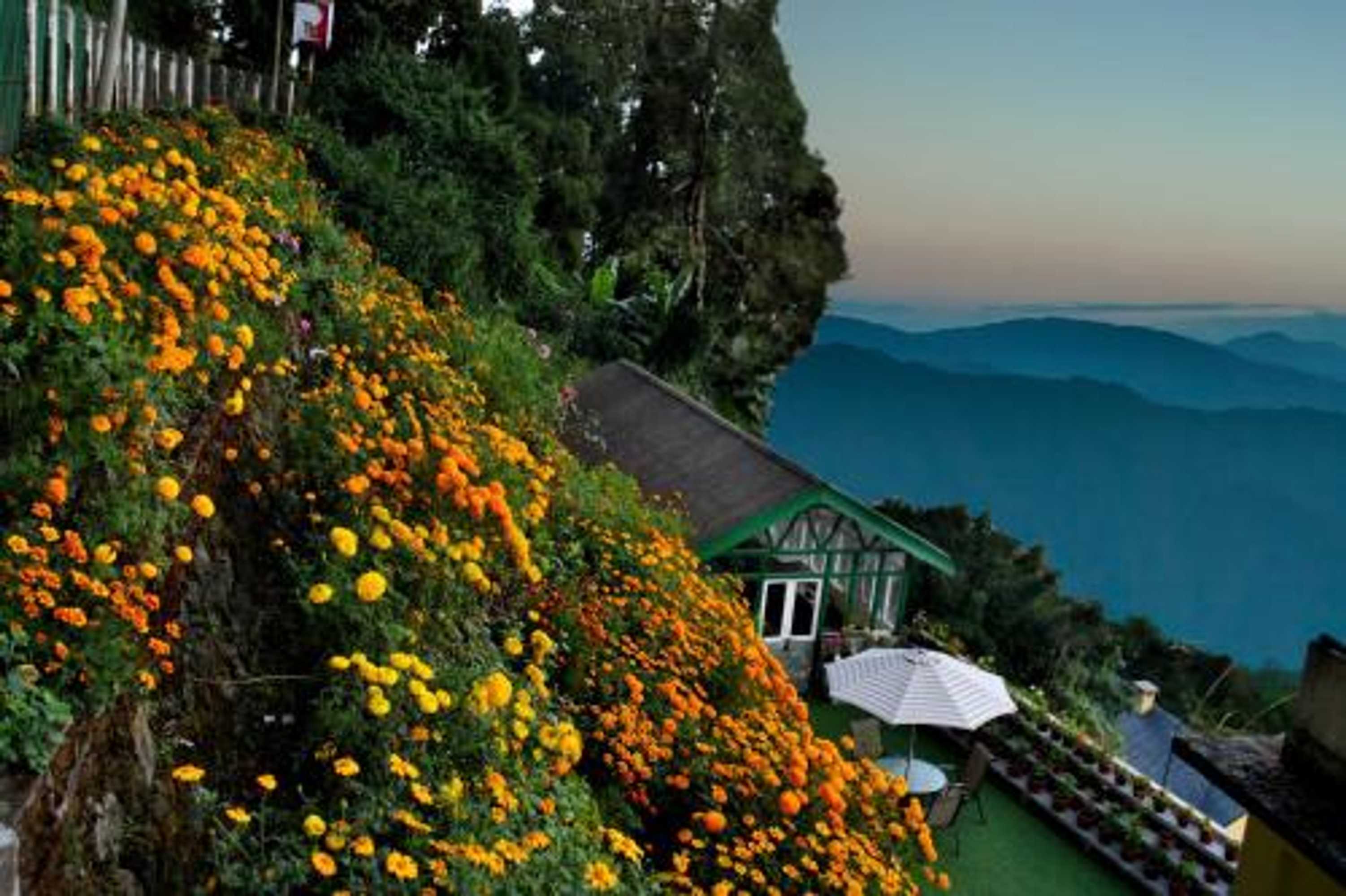 Gift card for Central Gleneagles Heritage Resort Former Bungalow of Ex-Tata Chairman Russi Mody The Mall Road Darjeeling Gift card for Central Gleneagles Heritage Resort Former Bungalow of Ex-Tata Chairman Russi Mody The Mall Road Darjeeling
