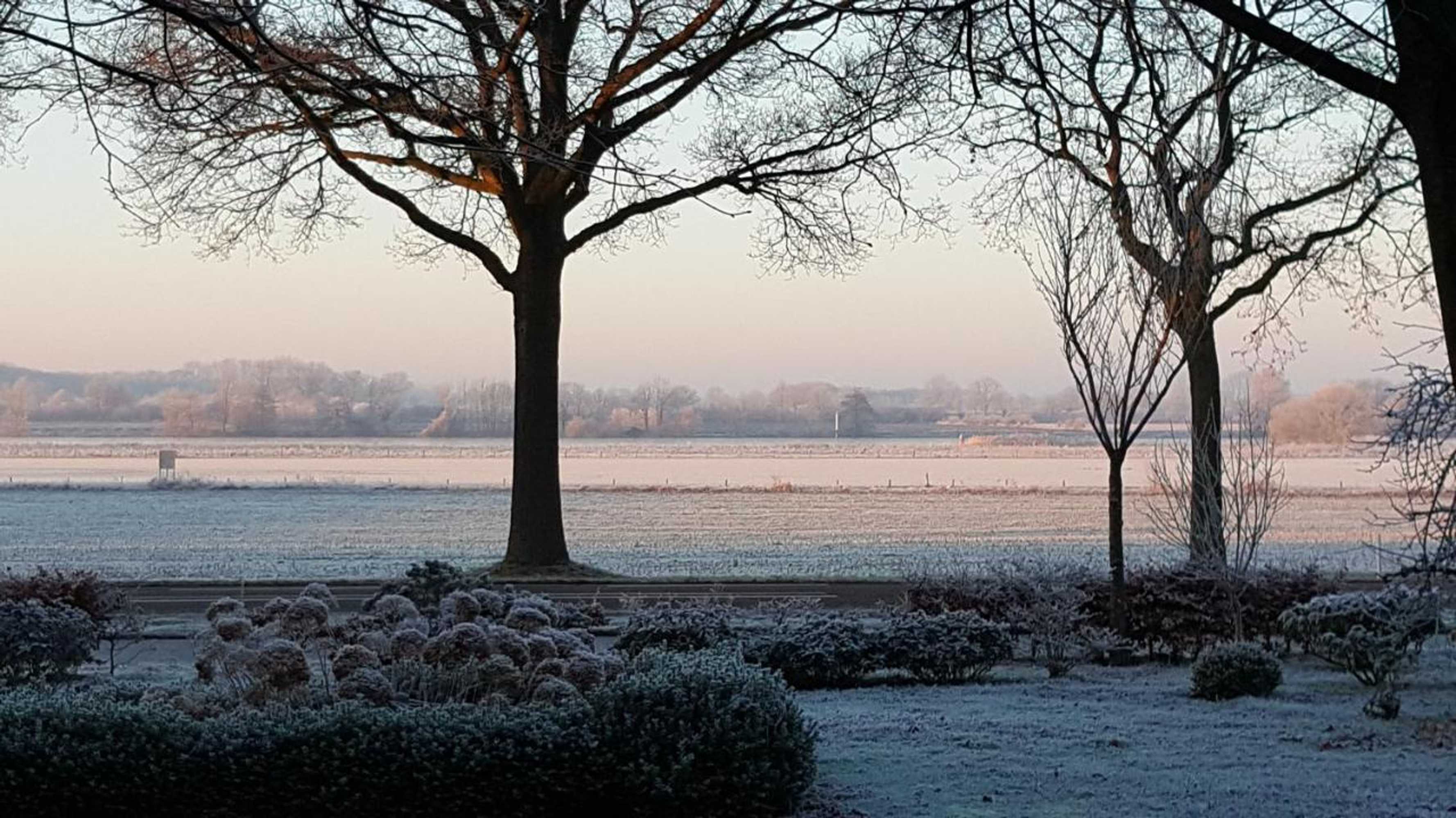 Gift card for Logies Angelbeeck