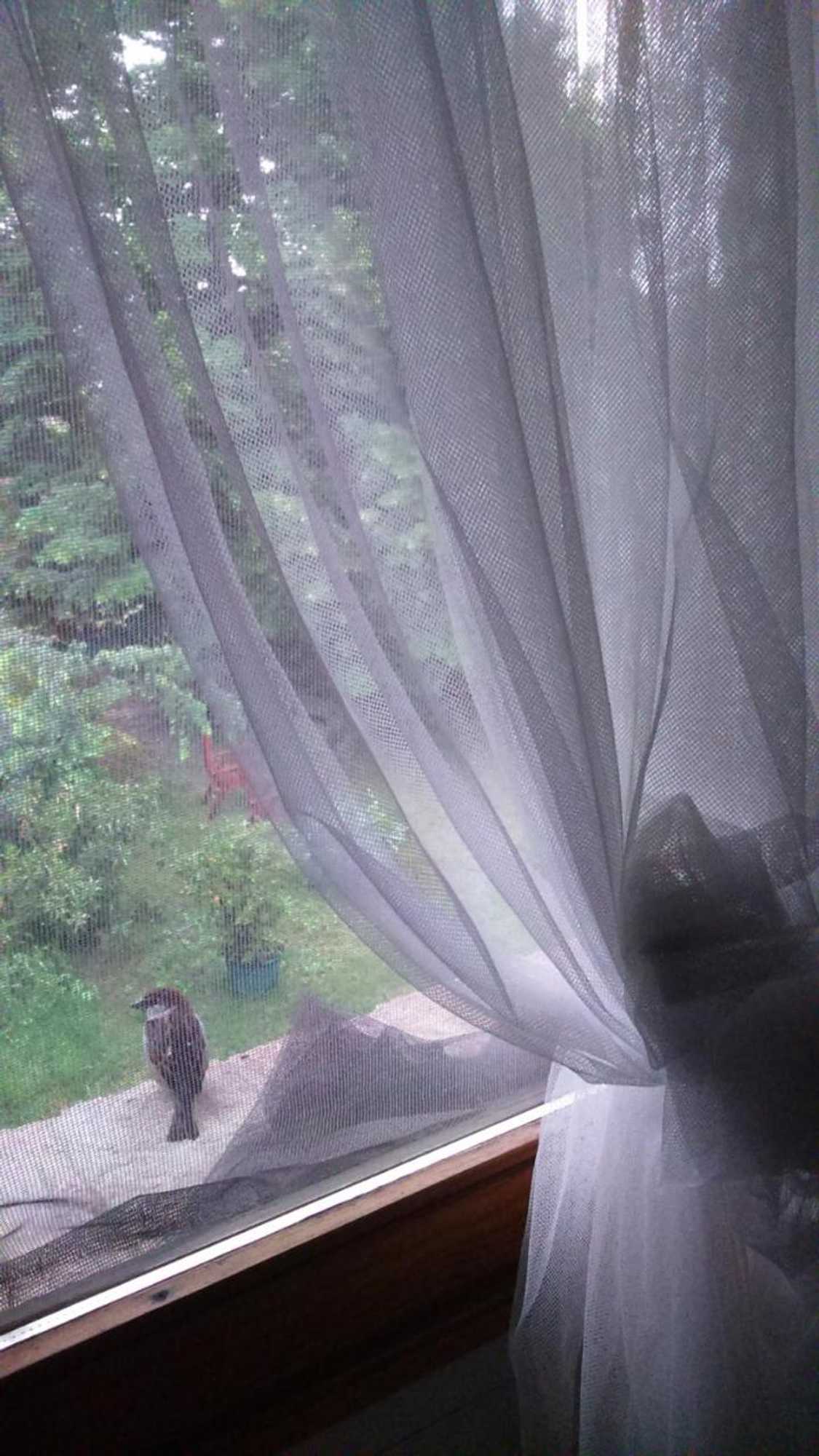 Gift card for Corte di Maggio B&b