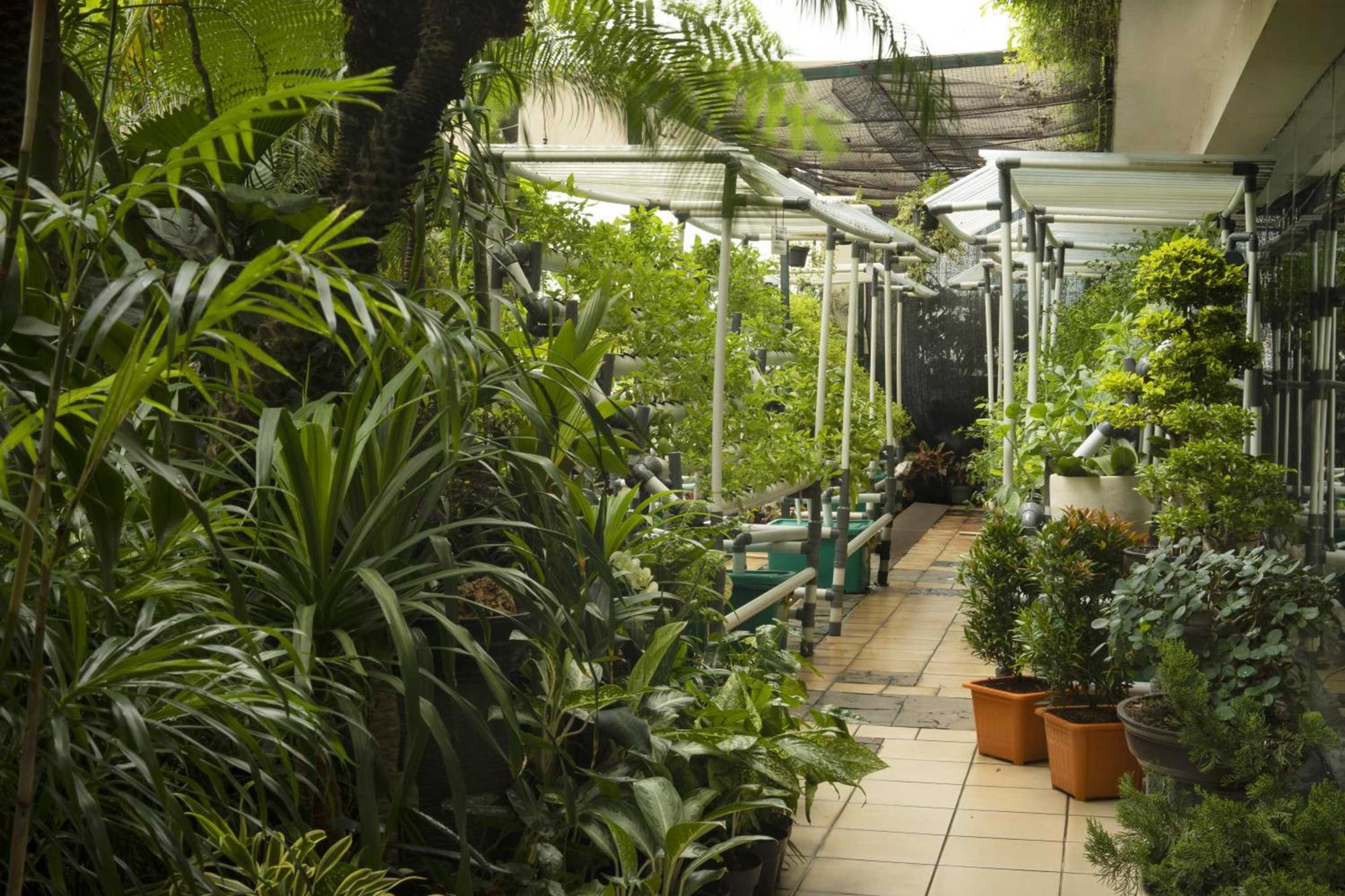 Gift card for Hotel Ciputra Jakarta Gift card for Hotel Ciputra Jakarta