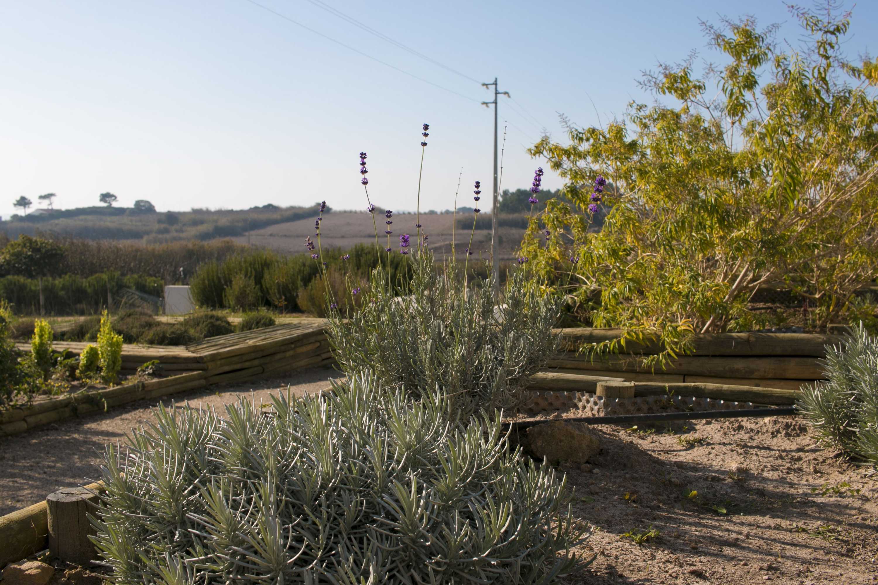 Gift card for Entre Vinhas & Mar Gift card for Entre Vinhas & Mar