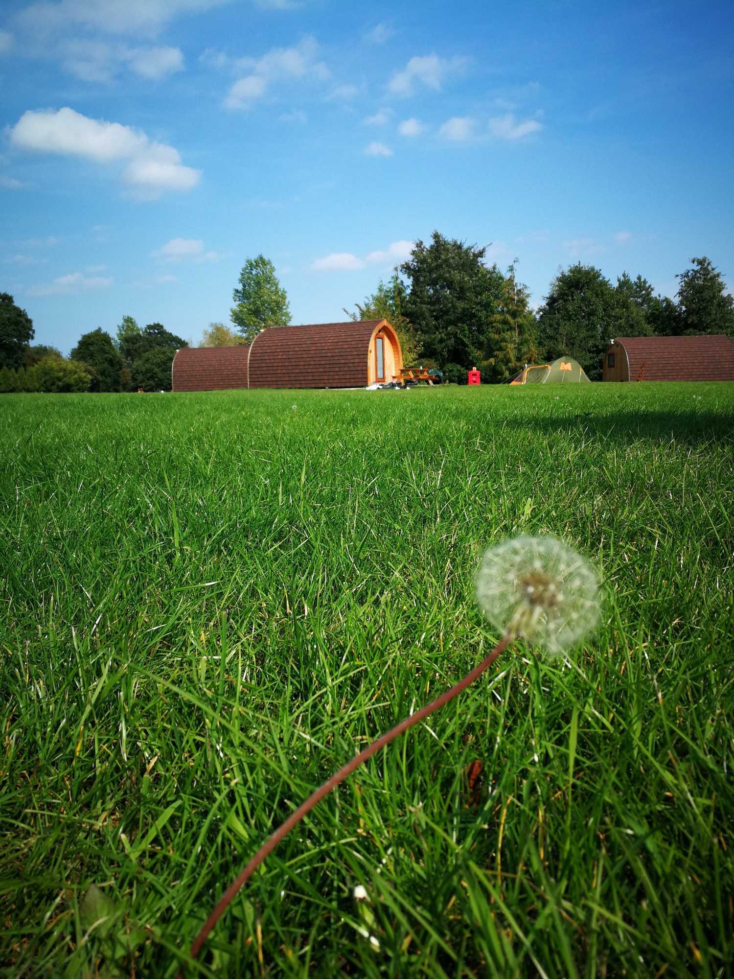 Gift card for Cosy Camping Suffolk