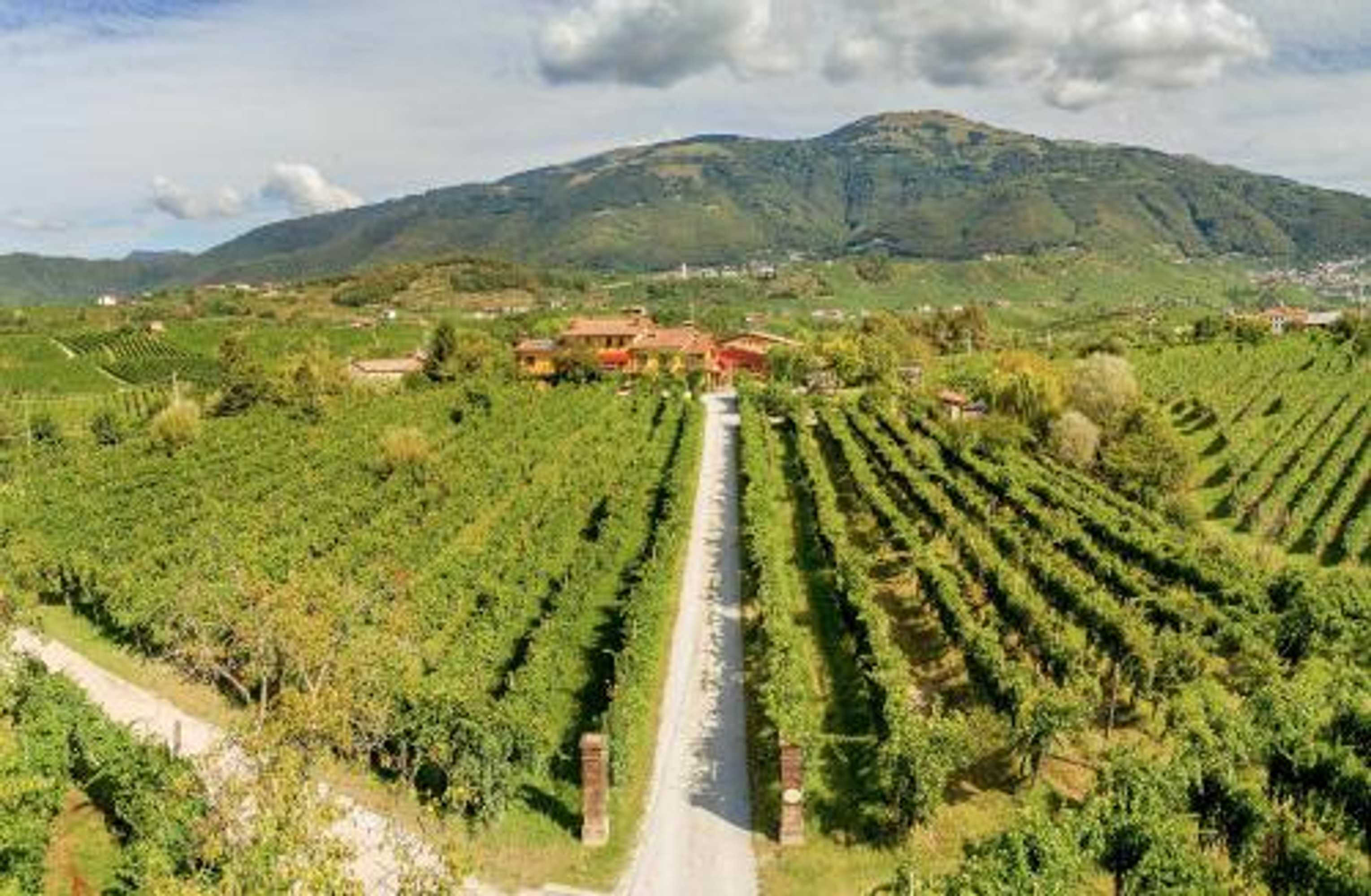 Gift card for Azienda Agricola Campion Gift card for Azienda Agricola Campion